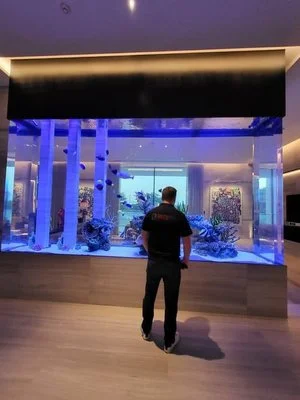 Gallery image with a fresh perspective