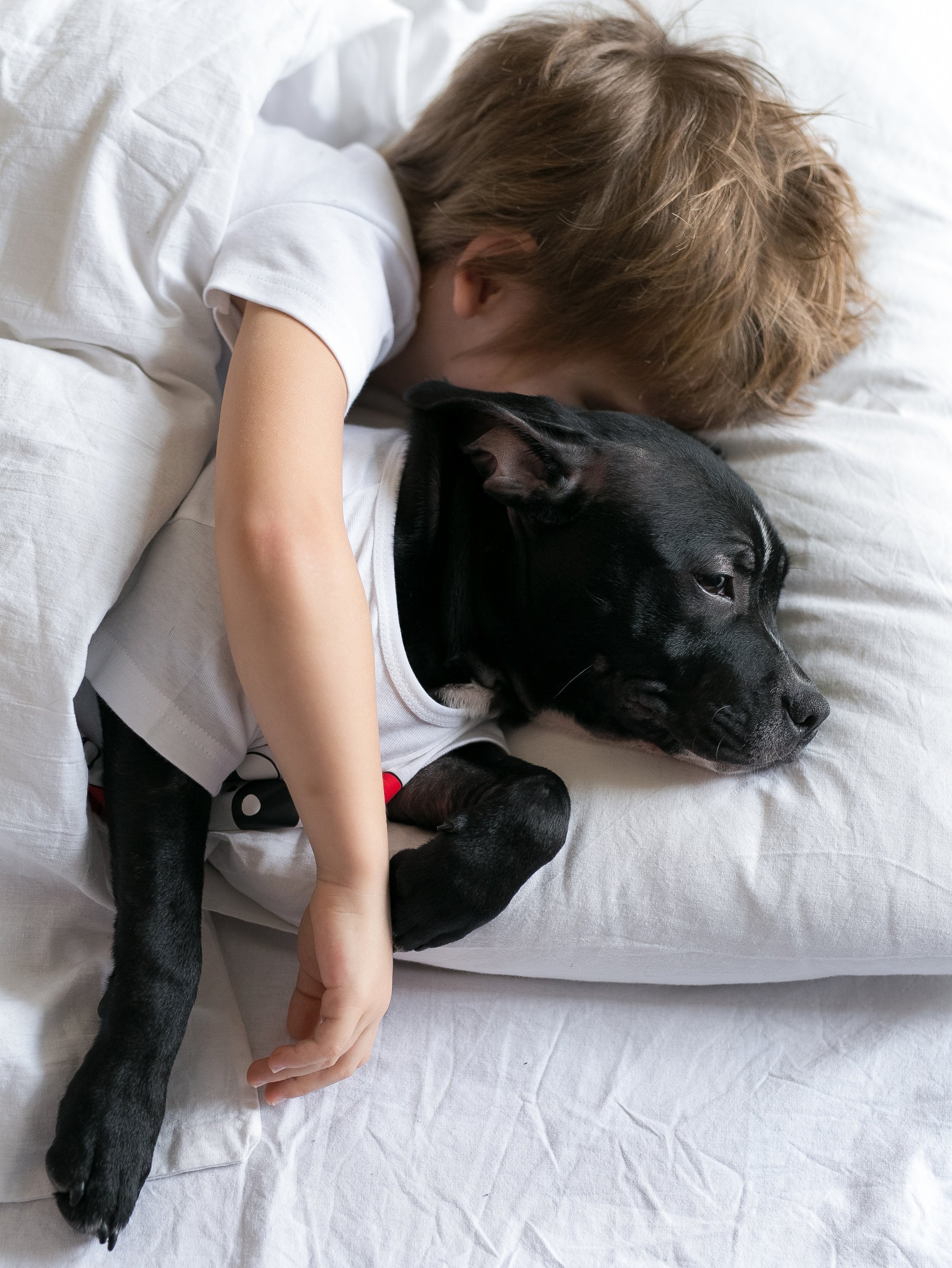 Child sleeping with family dog