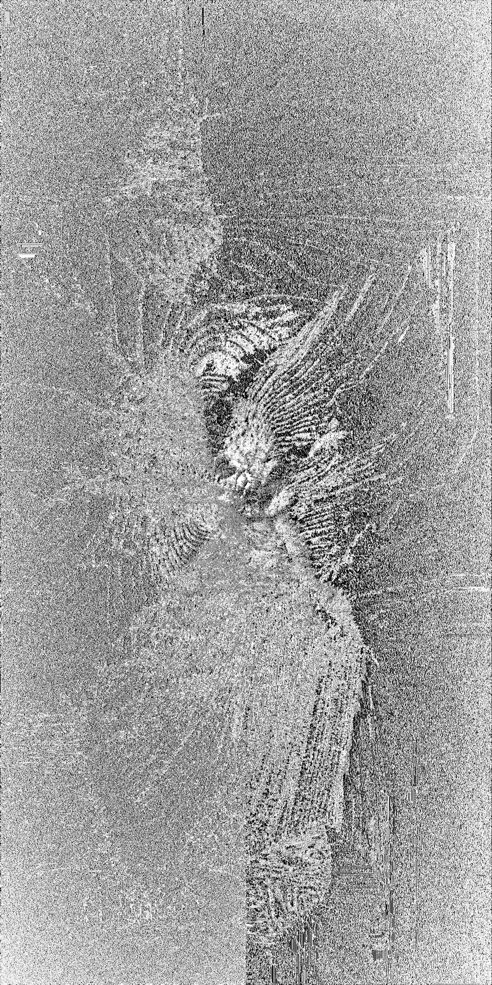 MINERAL_WORLDS_03_bw_negative.png