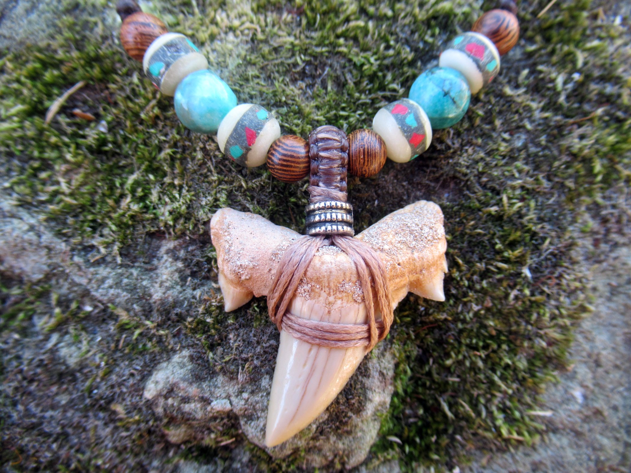 Tooth1a.jpg