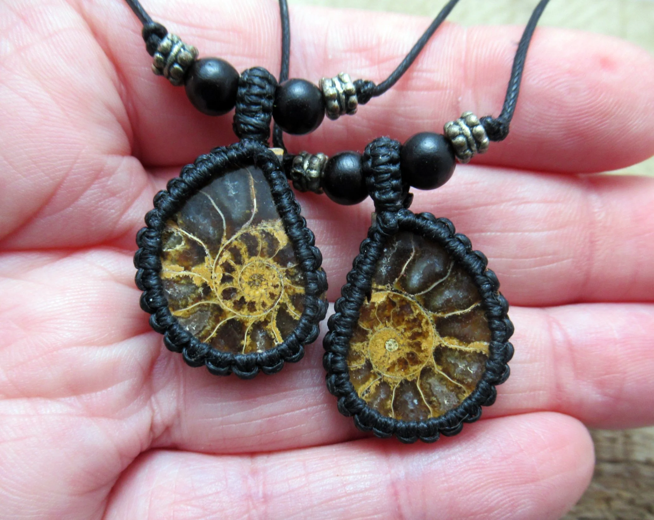 Small pair of polished ammonite pendants cut from a single fossil, in micro macrame setting FREE WORLDWIDE SHIPPING