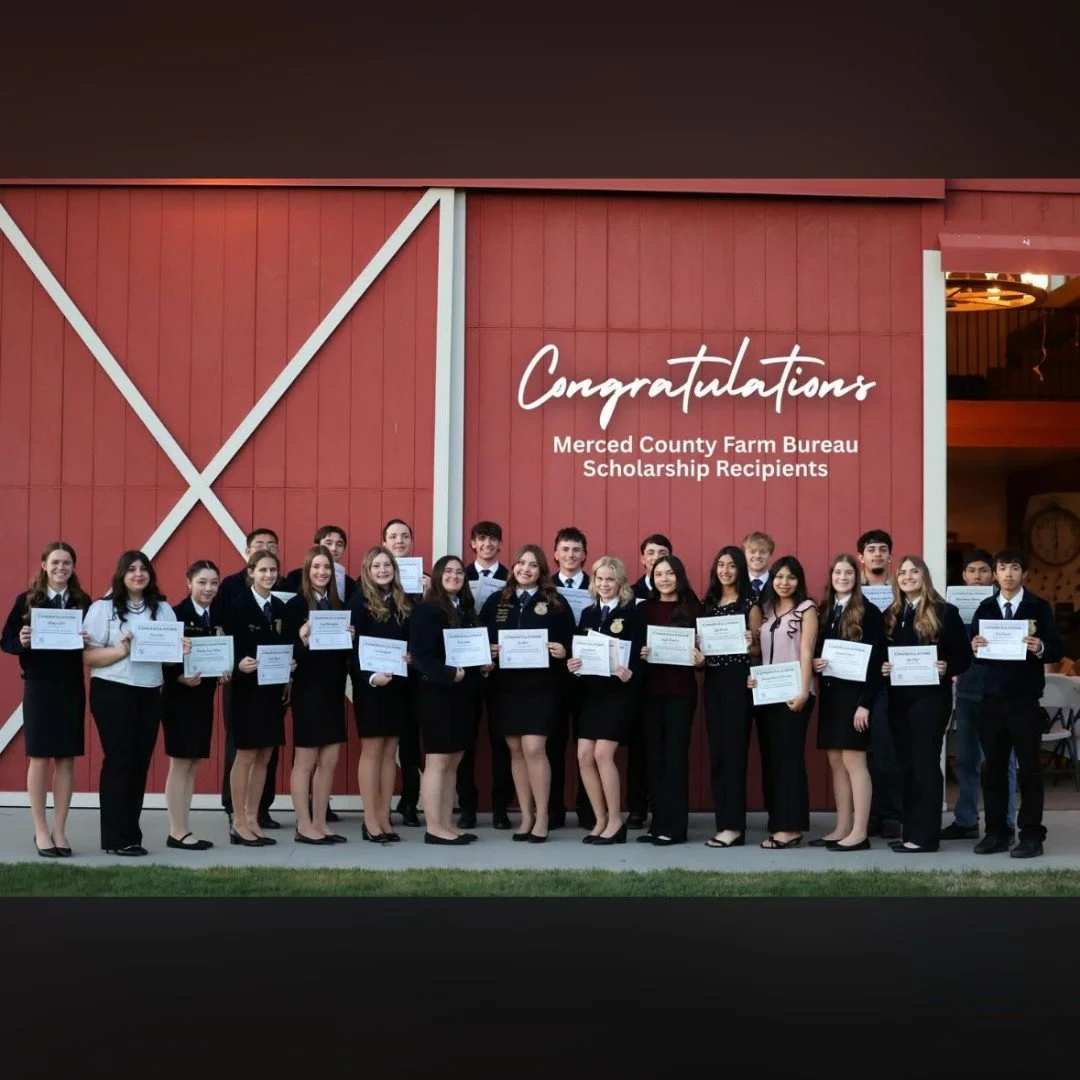 Supporting agriculture means investing in its future.

From the Merced County Fair and FFA and 4-H programs to scholarships and agricultural education, the Merced County Farm Bureau helps young people learn, lead, and grow.

In 2025, its Scholarship 