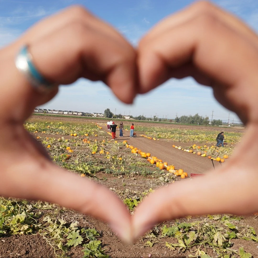 Community is at the heart of what we do. 🧡

From pumpkin patches to neighborhood traditions, the moments we share help make Merced County a place to belong. At the Community Foundation of Merced County, we help generosity take root so our community 