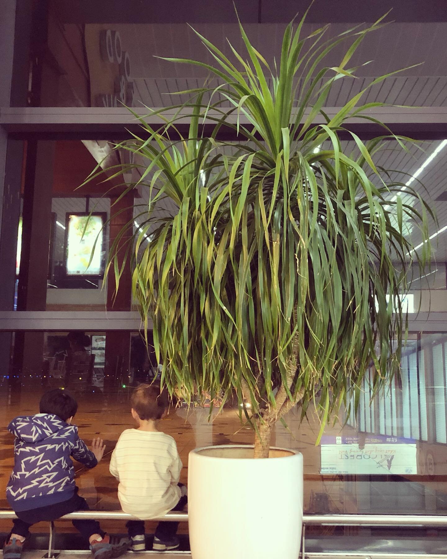 Anh em waiting for the next flight. 

#noibaiairport #vietnam #hanoi