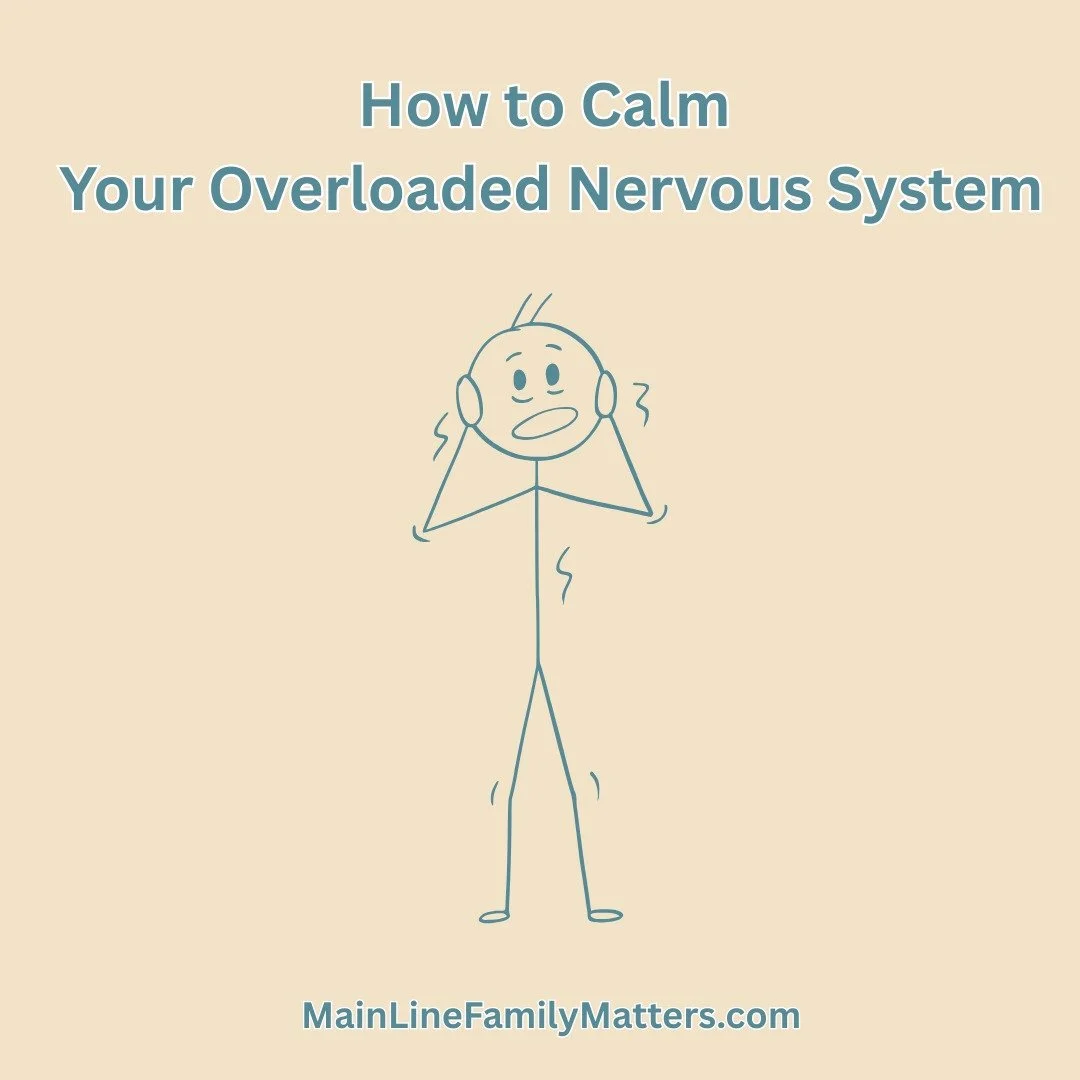 Therapy can help you (or your child) learn to recognize the signs of a dysregulated nervous system and develop strategies to restore regulation. 

Learn more at mainlinefamilymatters.com.
