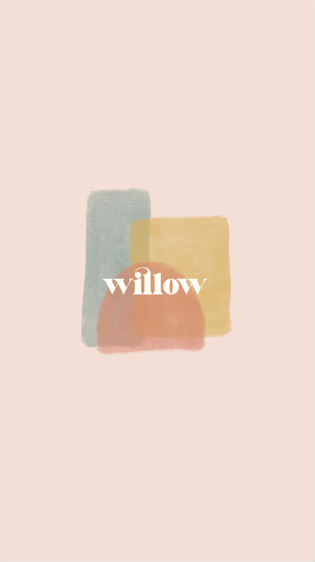 willow-playful-and-colorful-branding.png