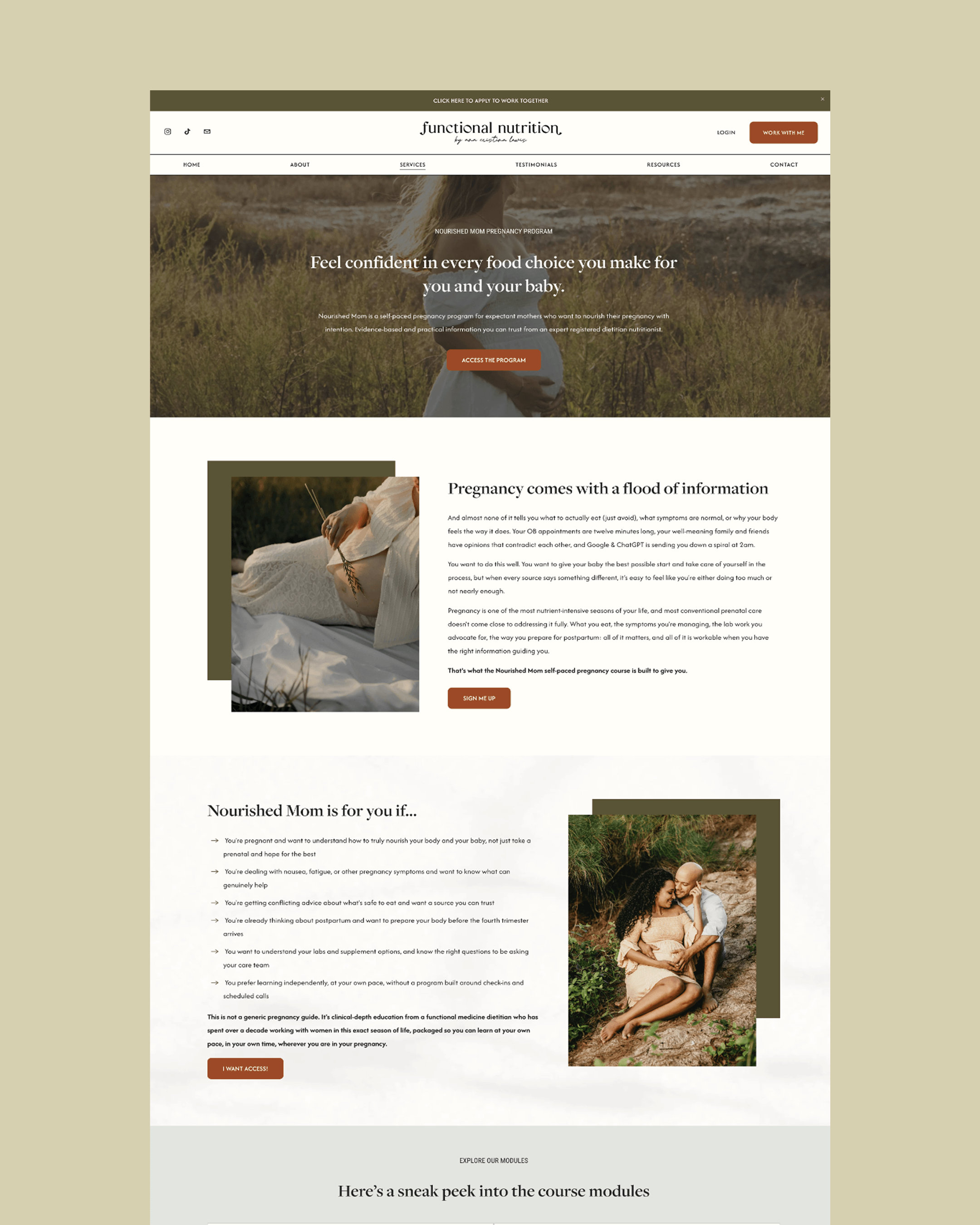 website-for-pregnancy-program.png