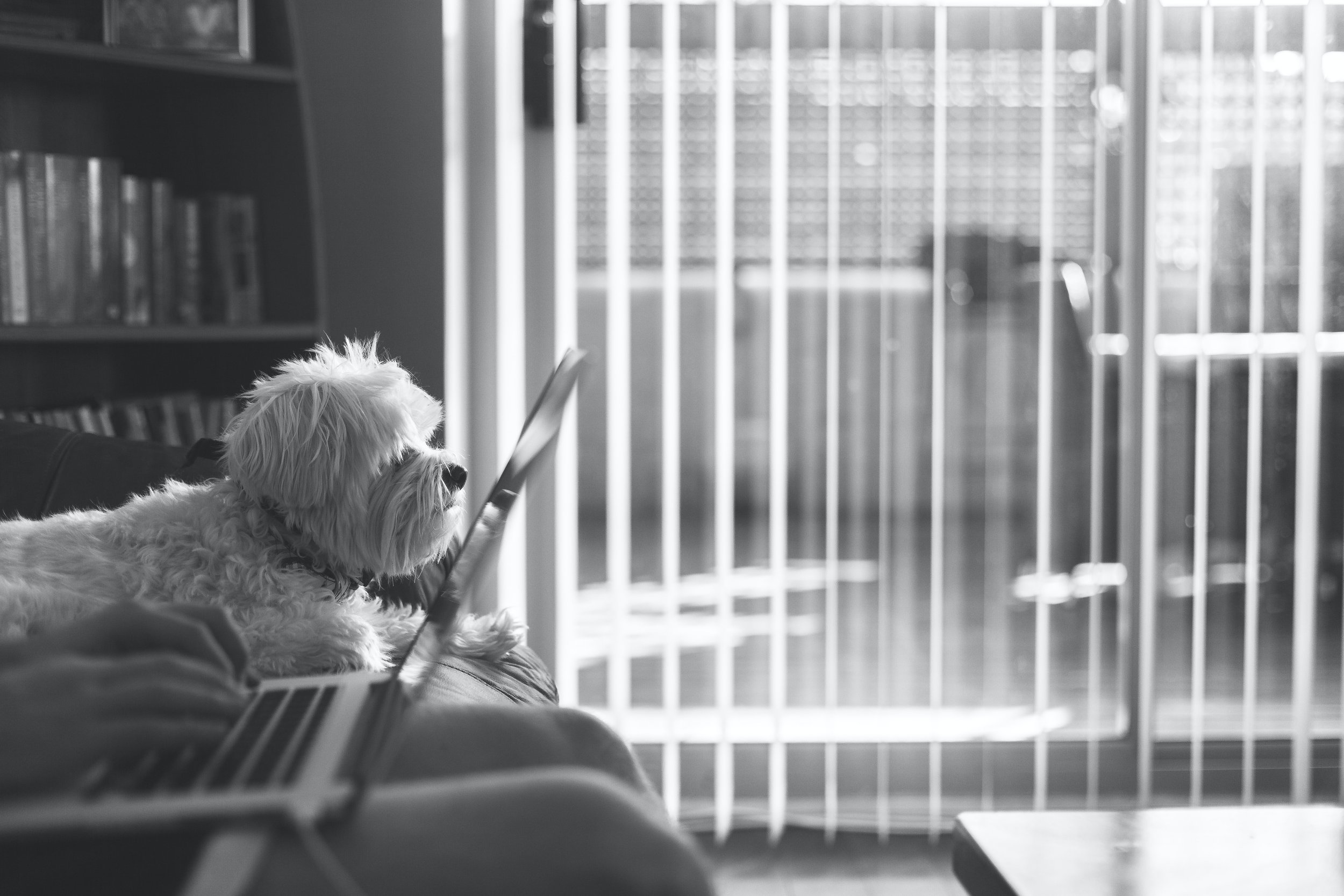 5 Reasons You Should Try Online Therapy