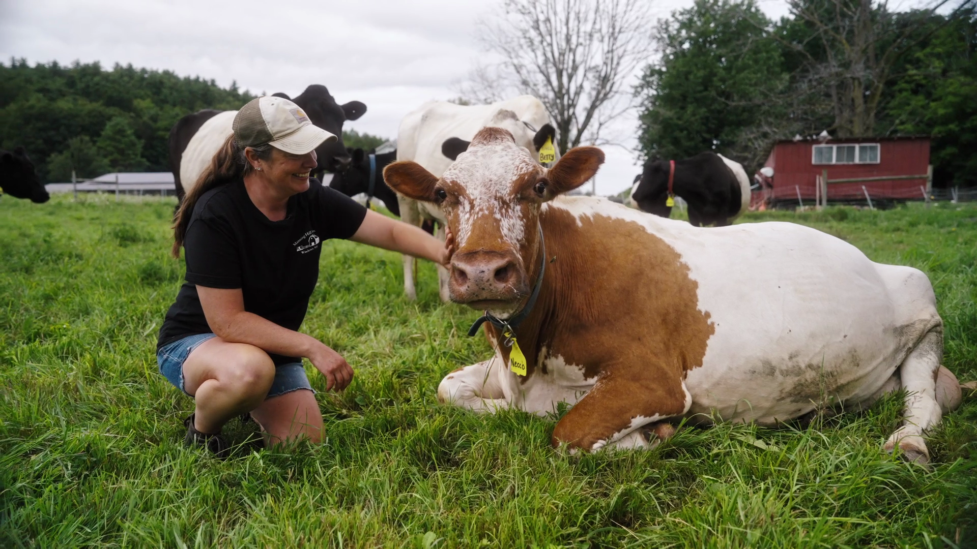 NH Conservation Districts Climate Resilience Grant