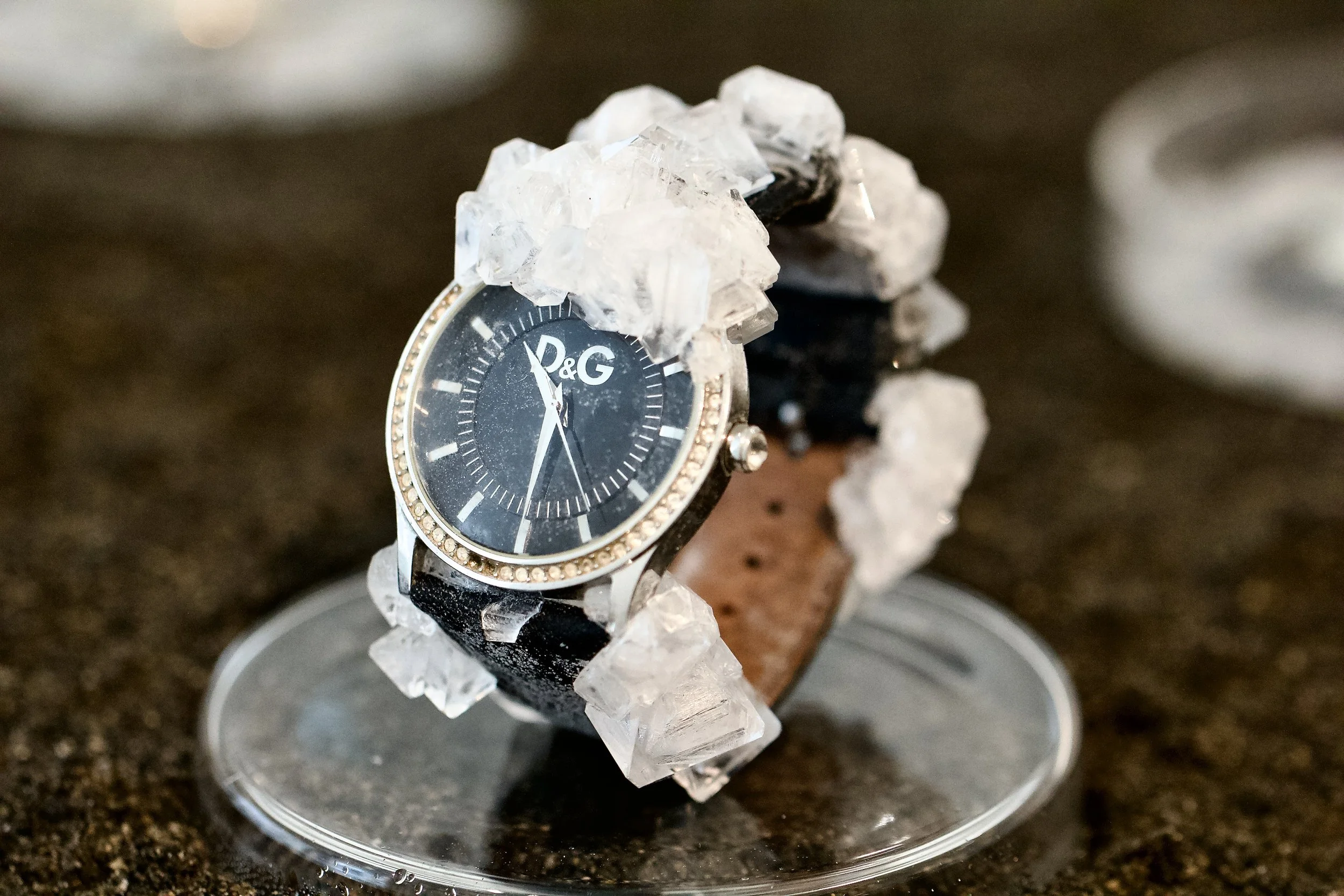 Timeline_Bernie Colhoun_5.jpeg