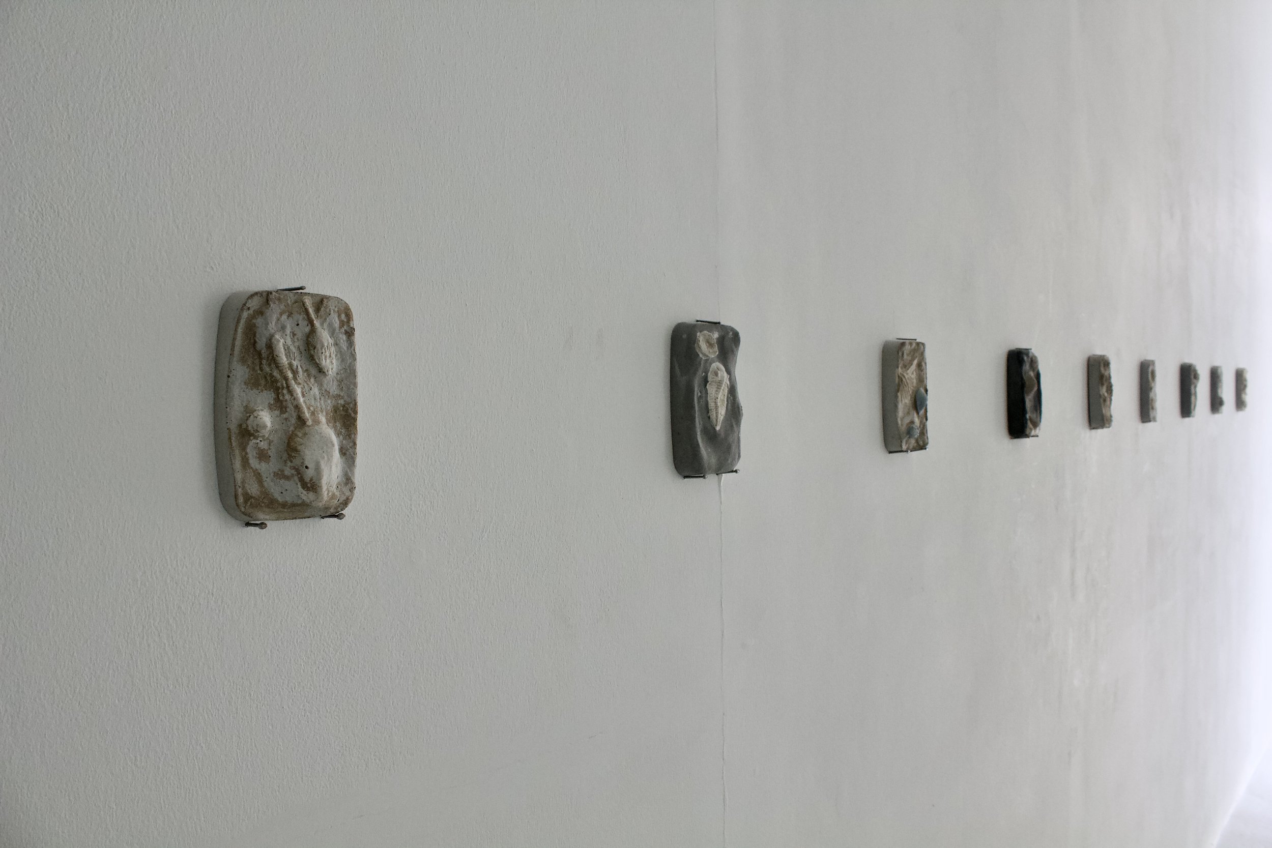 Fossil Series_Moments in a Lost Sea_Bernie Colhoun_3.jpeg