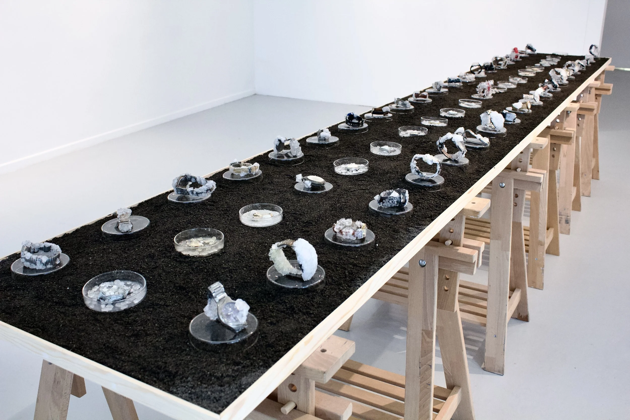 Timeline_Bernie Colhoun_2.jpeg