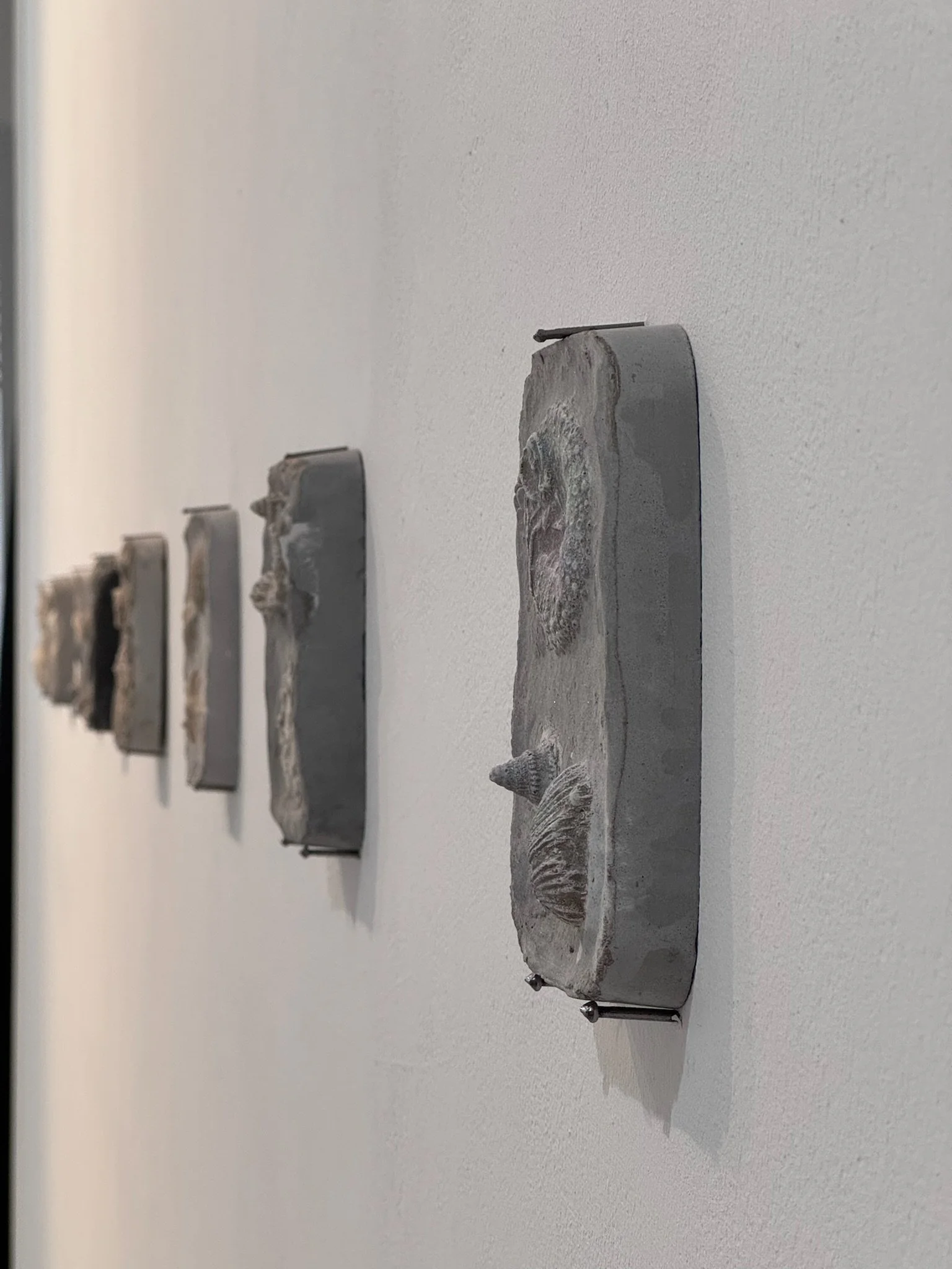 Fossil Series_Moments in a Lost Sea_Bernie Colhoun_5.jpeg