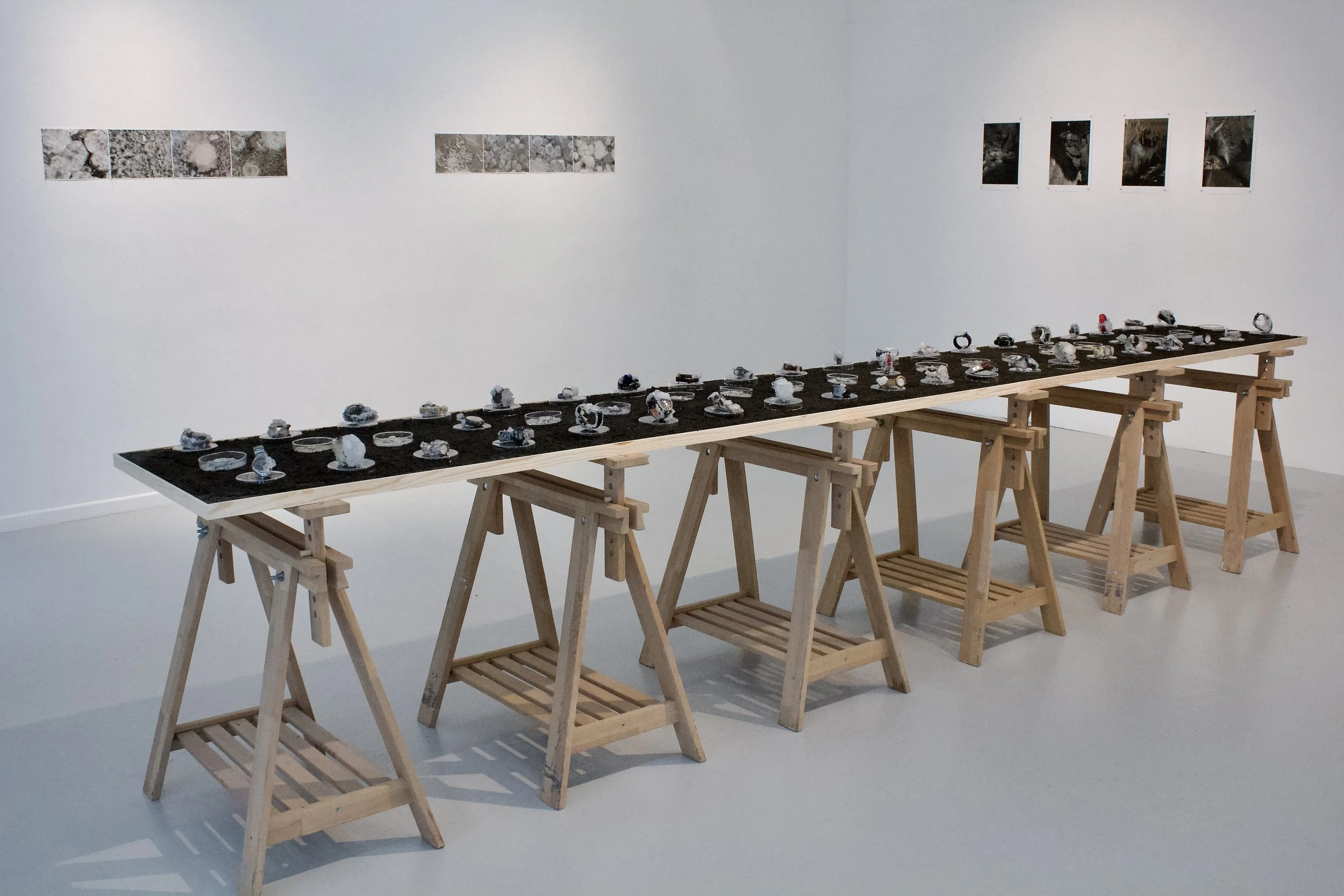 Timeline_Bernie Colhoun_1.jpeg