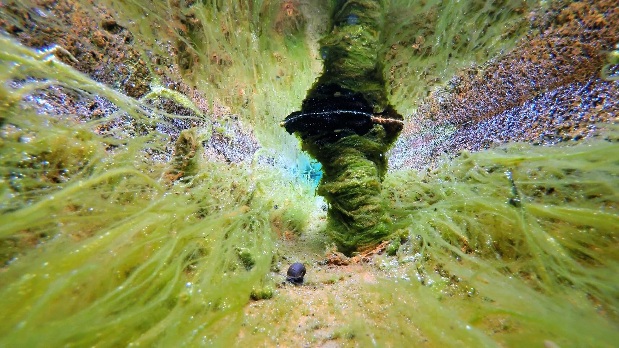 56AAFF-Tour-Digital1_TheStreamVII.jpg