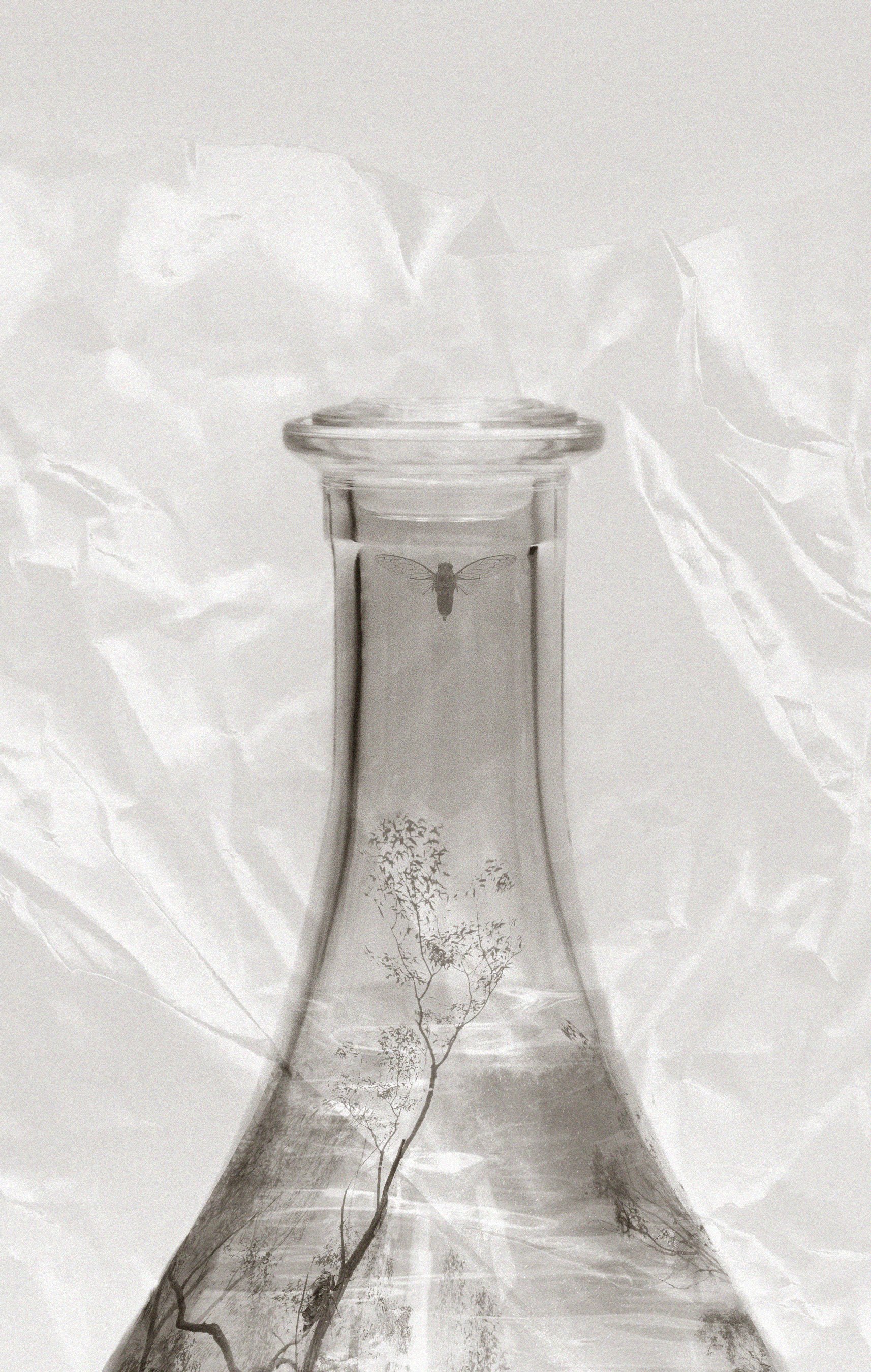 omnipotent_Cristina Morbi_Detail.jpg