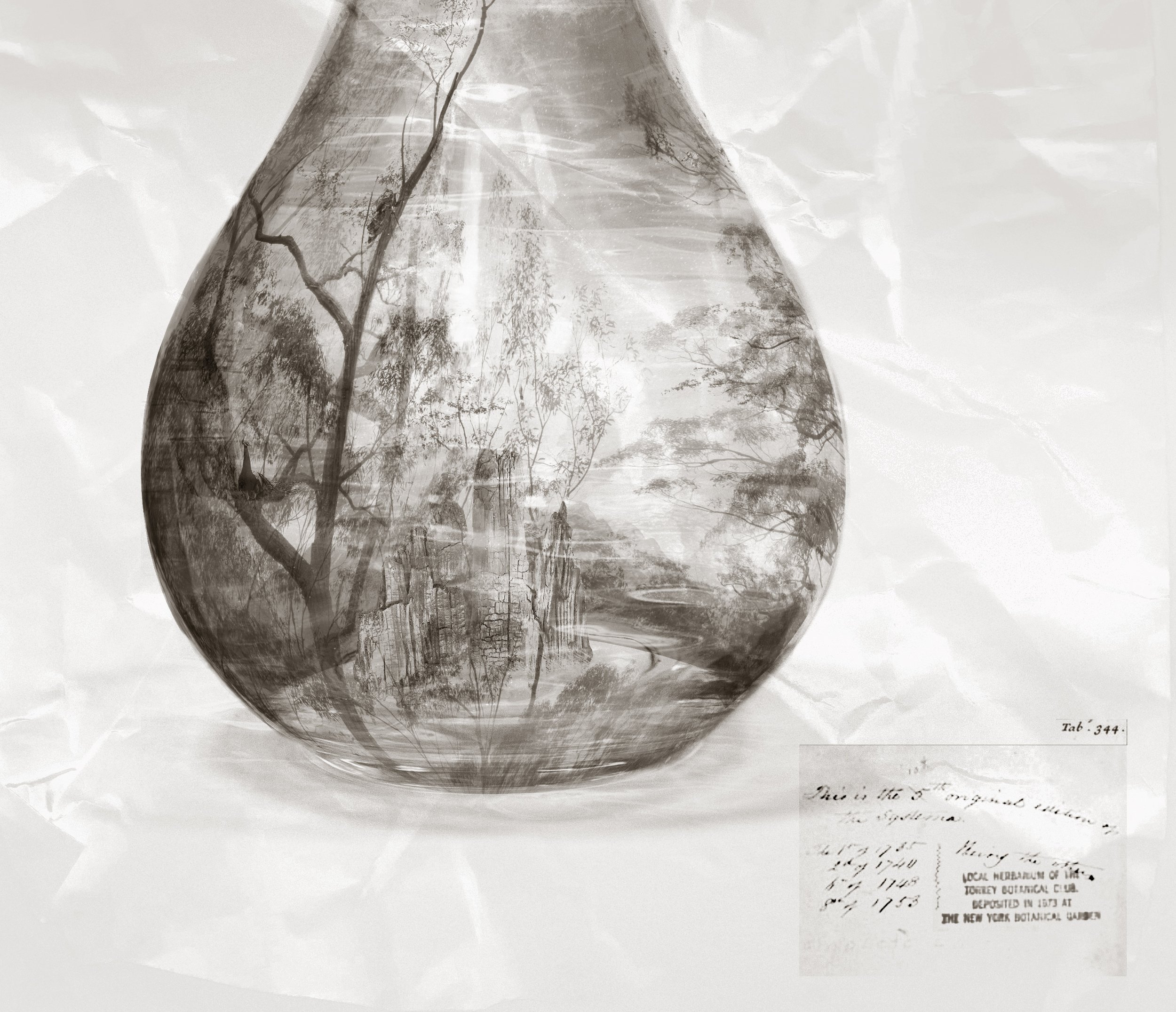 omnipotent_Cristina Morbi_Detail2.jpg