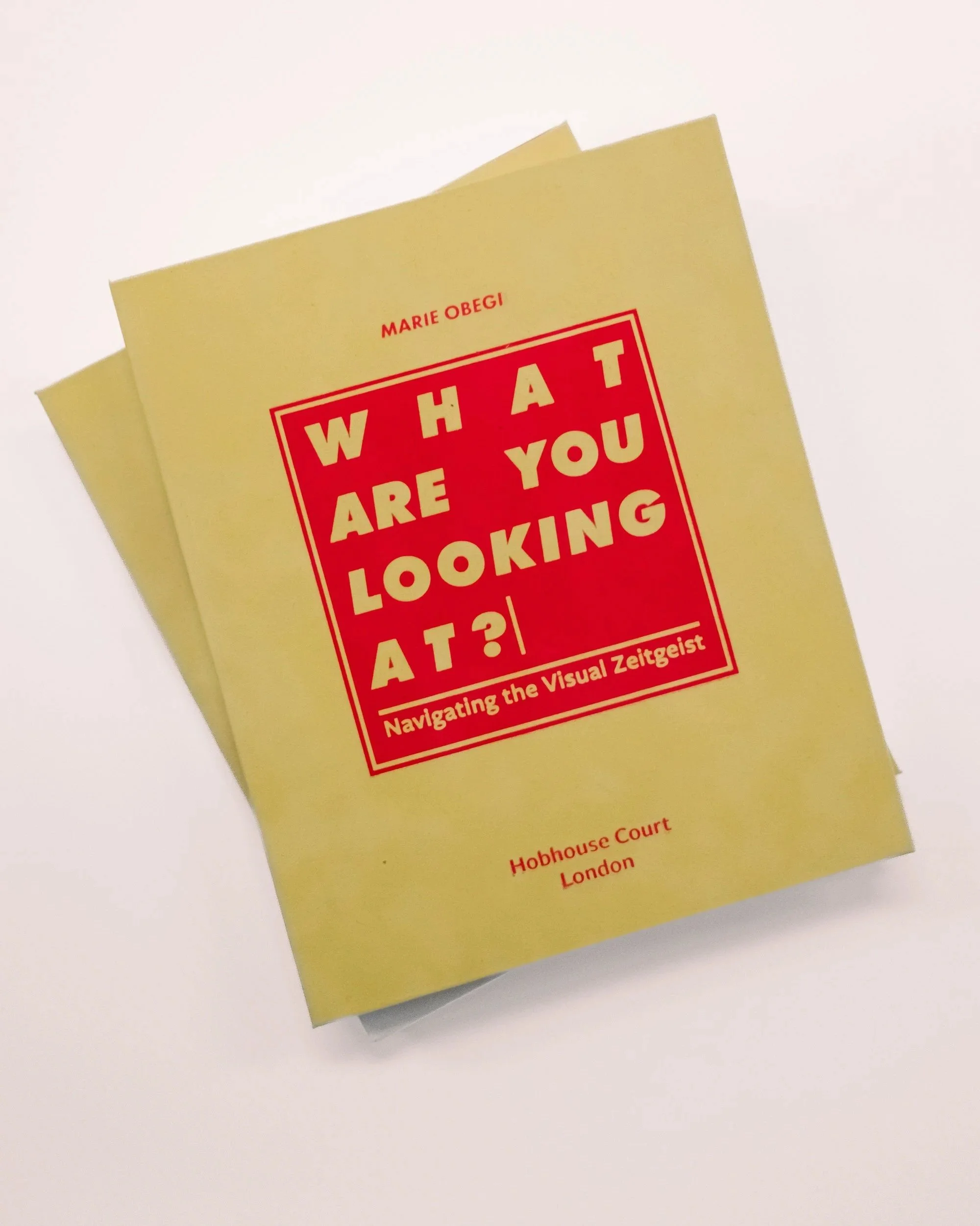 What Are You Looking At?