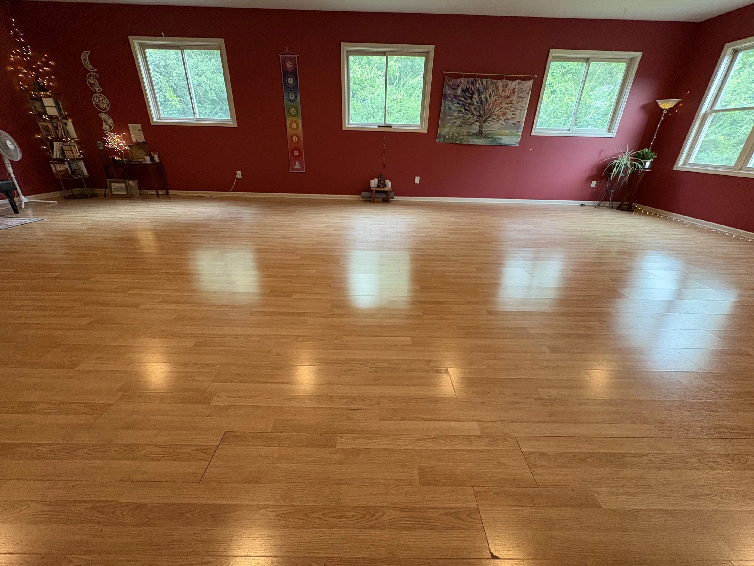 A spacious room with reddish walls, hardwood floor, four windows showing green trees outside, and various decorations including a wall hanging, a framed picture on a small table, a potted plant, and a tall standing lamp.