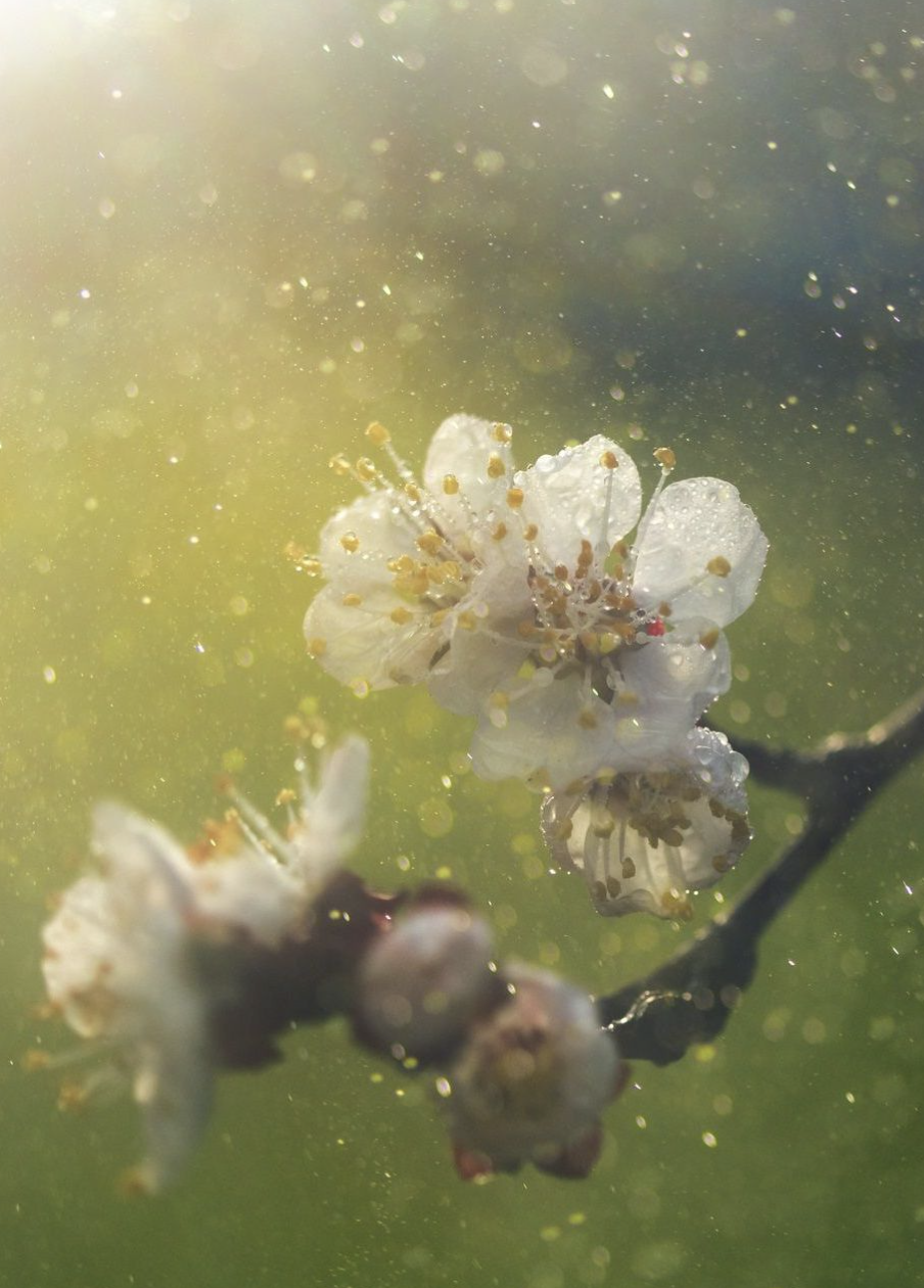 TRM (Total Reset Methode)