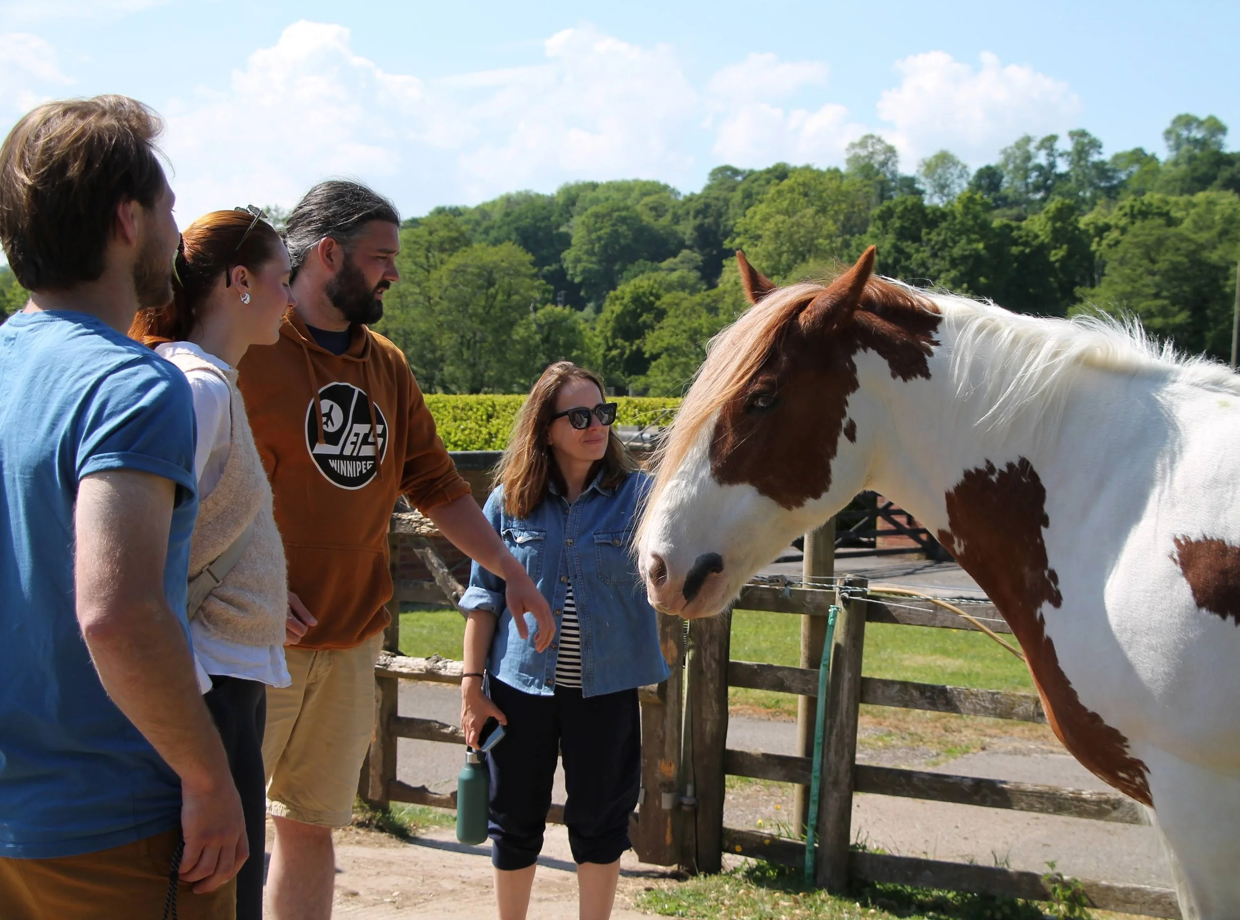 What a gorgeous sweet horse! 
