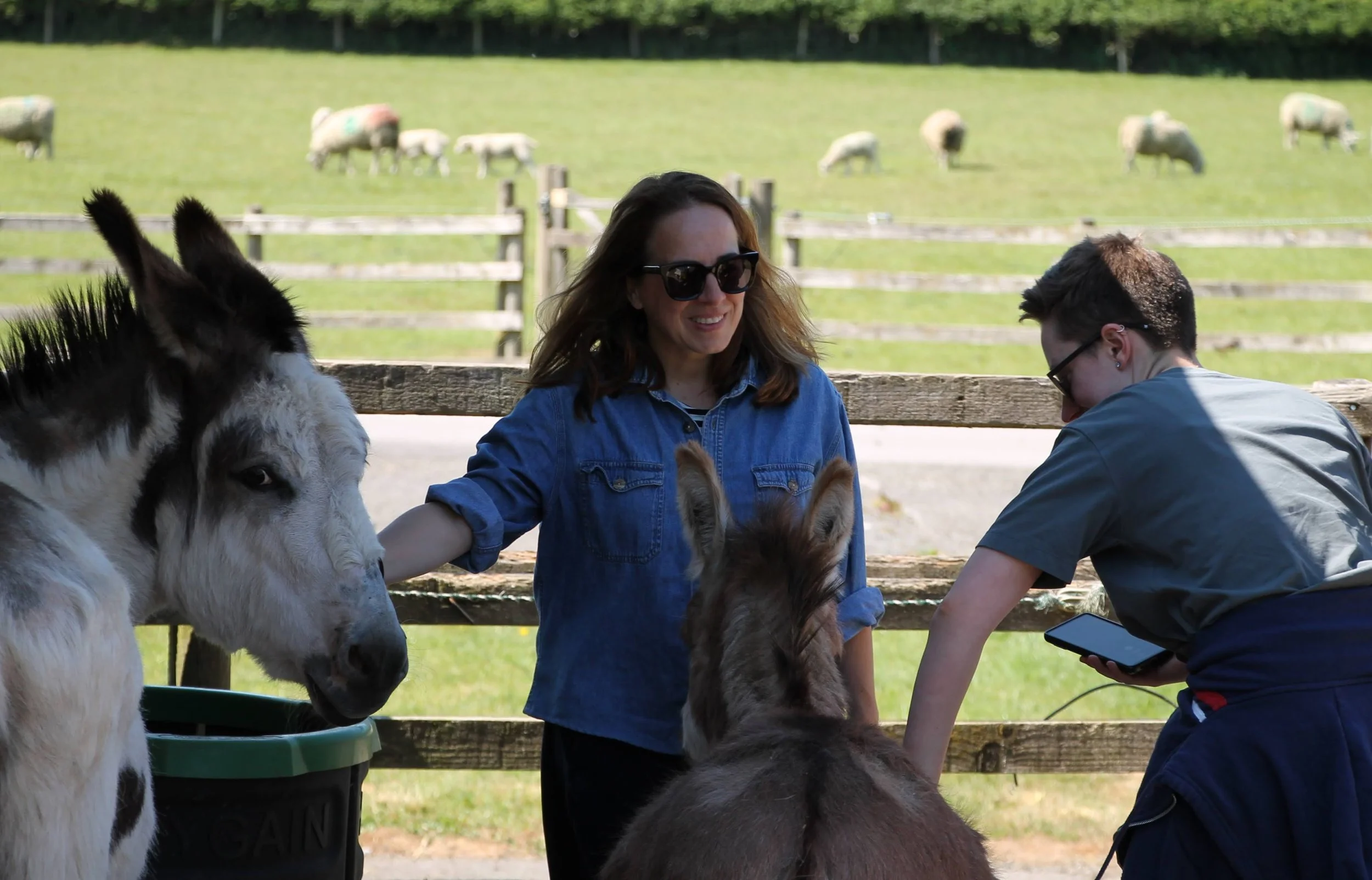 Donkeys! some of us were a bit too keen !