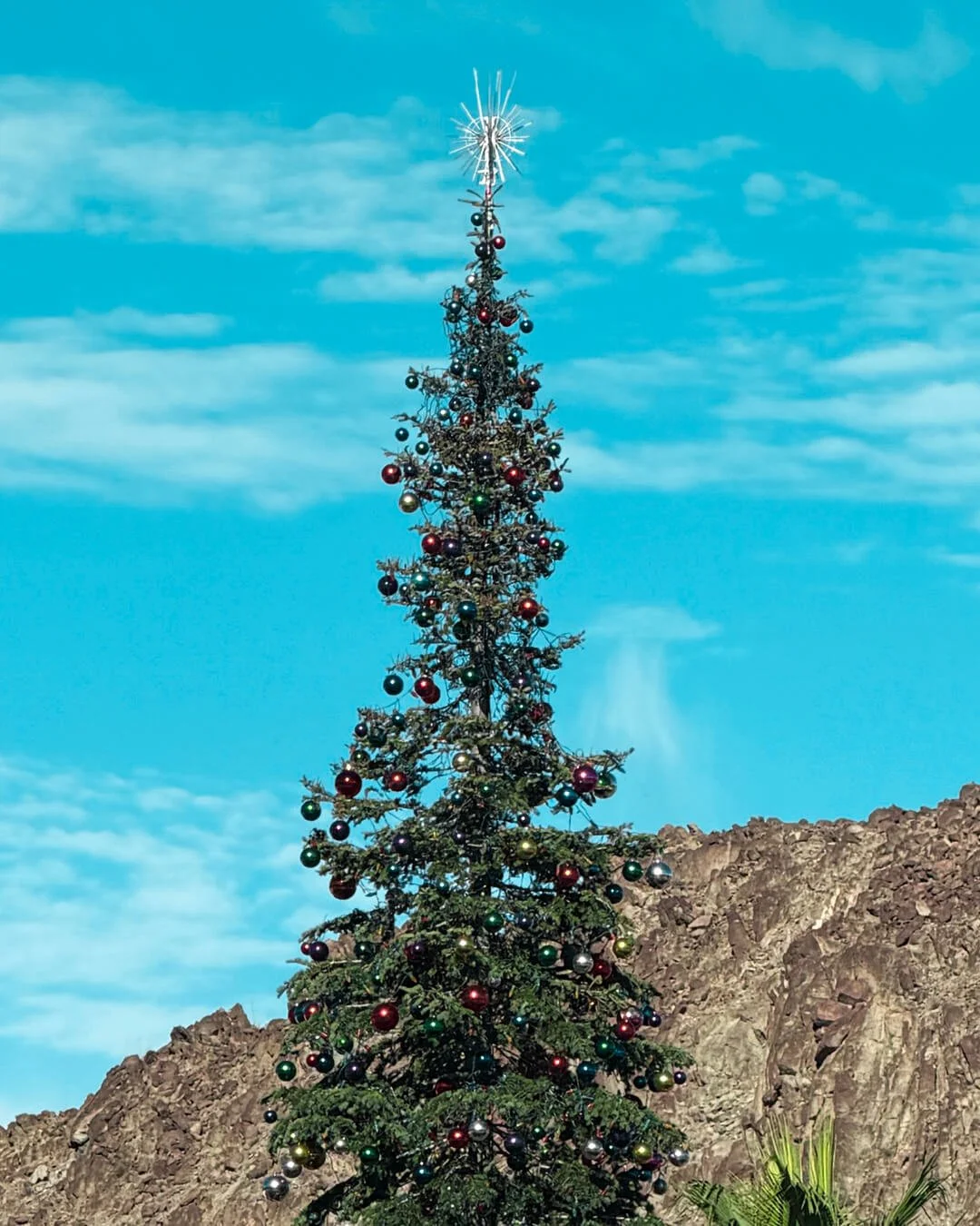 La Quinta, Joshua Tree, &amp;  Rancho Mirage.