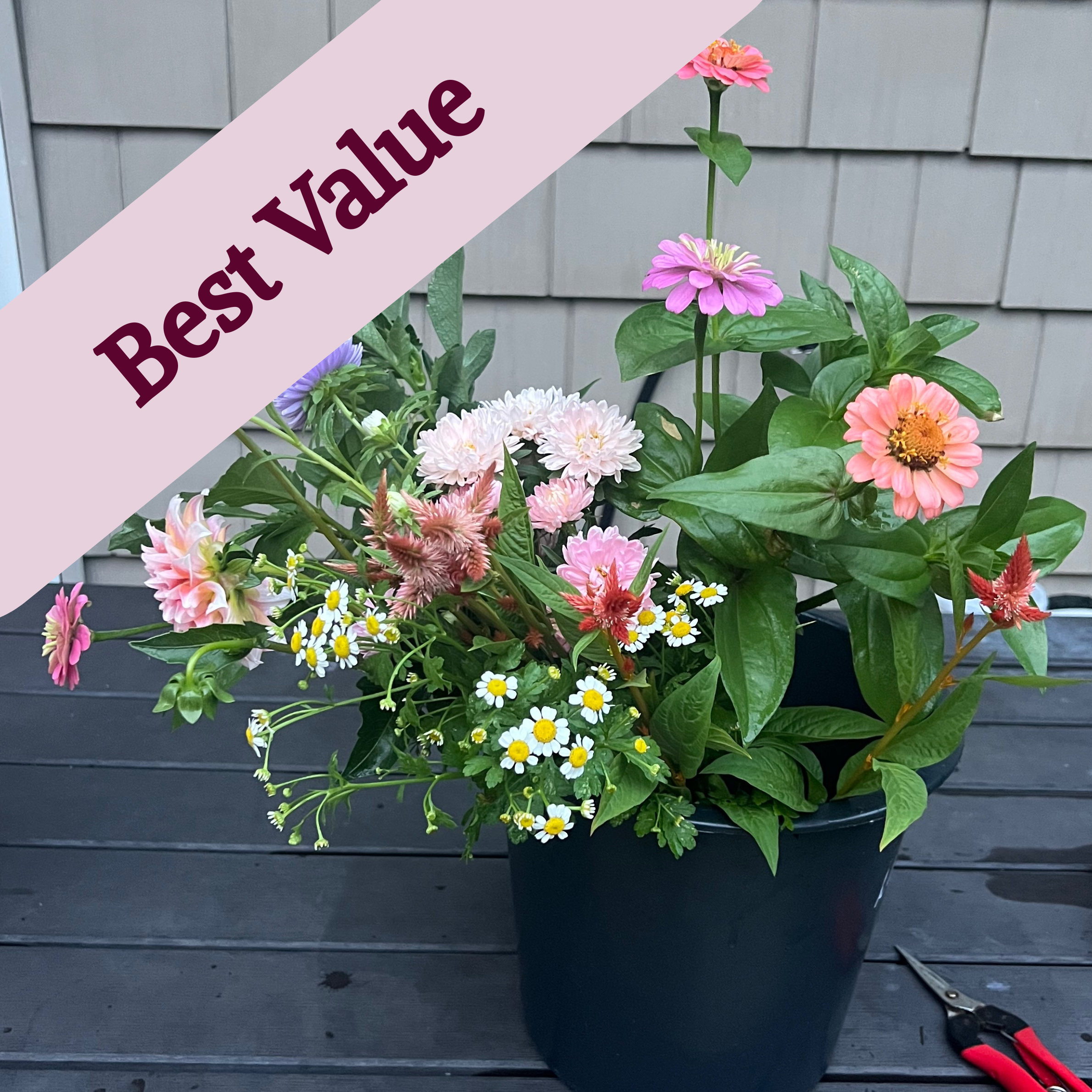 Top Gift for 2026-3.png