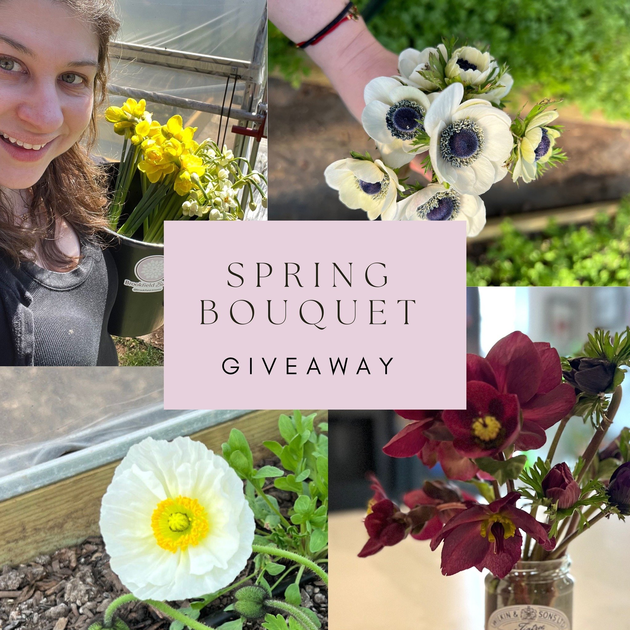 GIVEAWAY CLOSED! 

🌷 HAPPY FIRST DAY OF SPRING 💐 

Let&rsquo;s celebrate with a spring bouquet giveaway!

To enter: 
1️⃣ Make sure you&rsquo;re following me, @brookfield.blooms 
2️⃣ Comment on this post with your favorite flower
3️⃣ Tag a friend- e