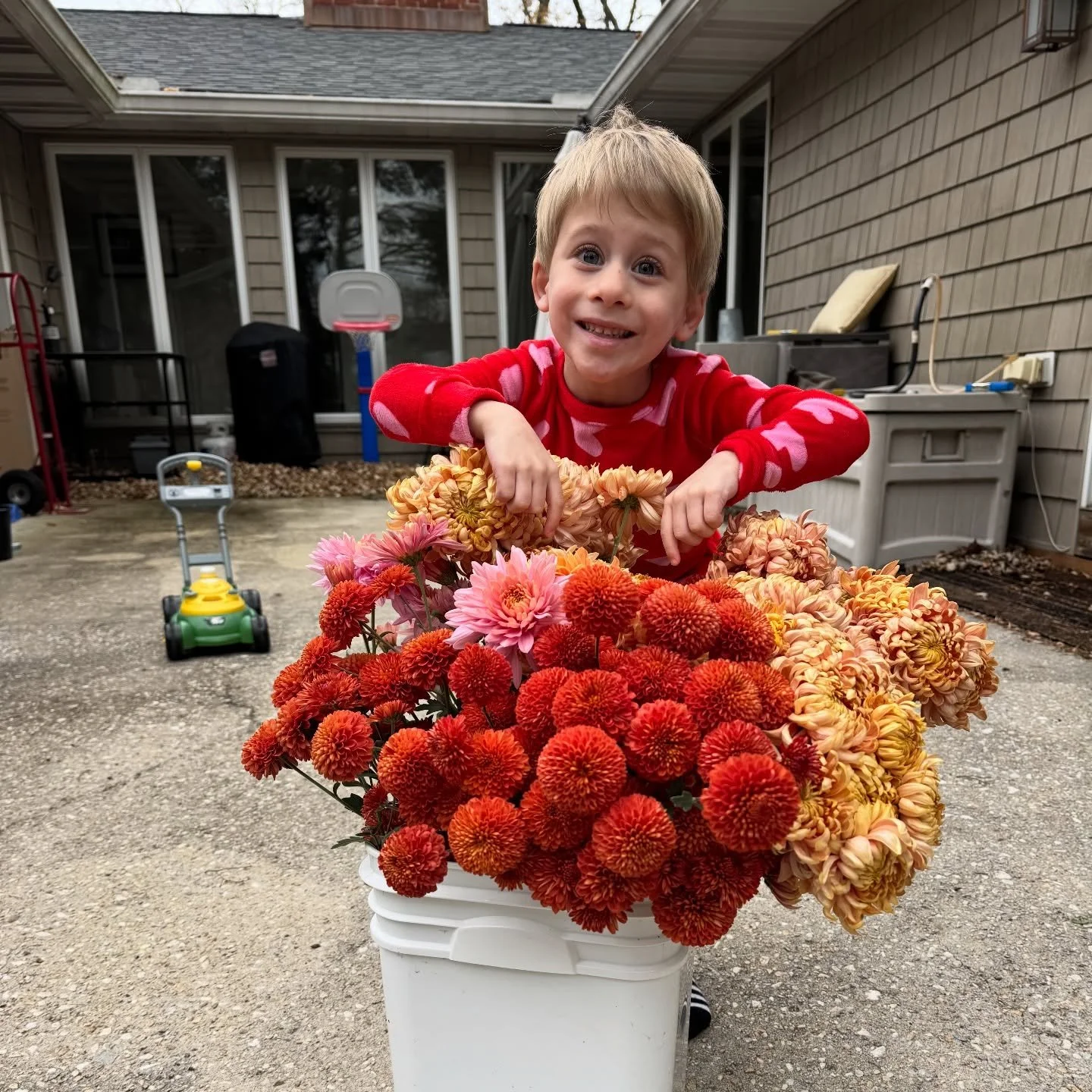 We need about 3x as many mums next year, right? Flashback to the last heirloom chrysanthemum harvest with my helper!

#localflowers #baltimoreflorist #towsonflorist #heirloomchrysanthemum
