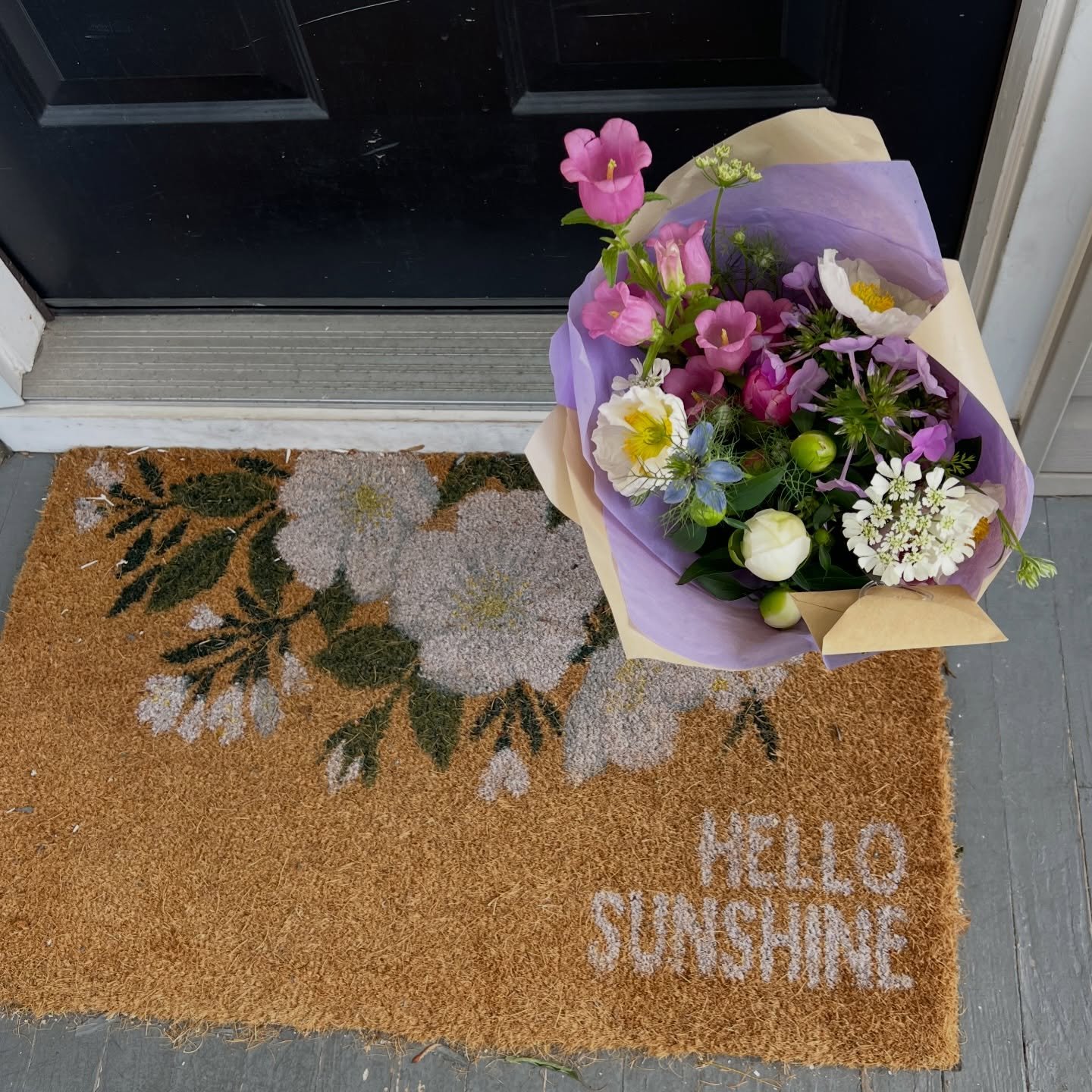 The sun is shining (and the snow is FINALLY melting) and it&rsquo;s giving me the dopamine boost I needed to start thinking SPRING.

I&rsquo;m making some changes to the website, to my subscription program and to my workshop offerings. I can&rsquo;t 