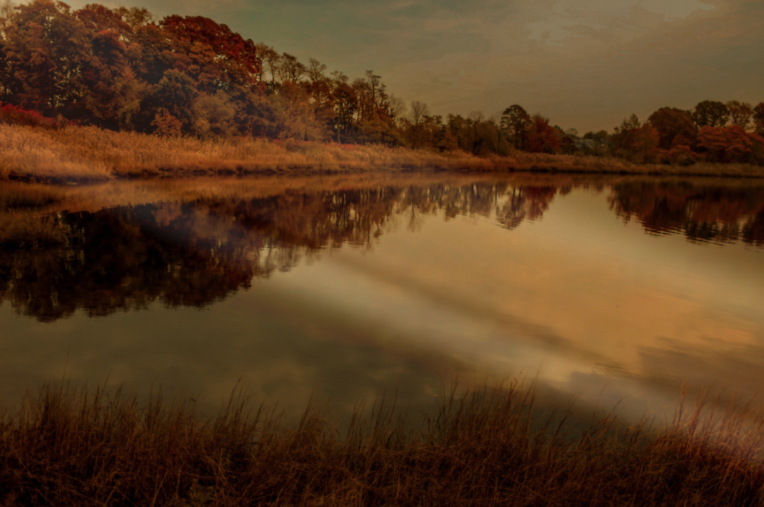 November / Unreliable Narrator