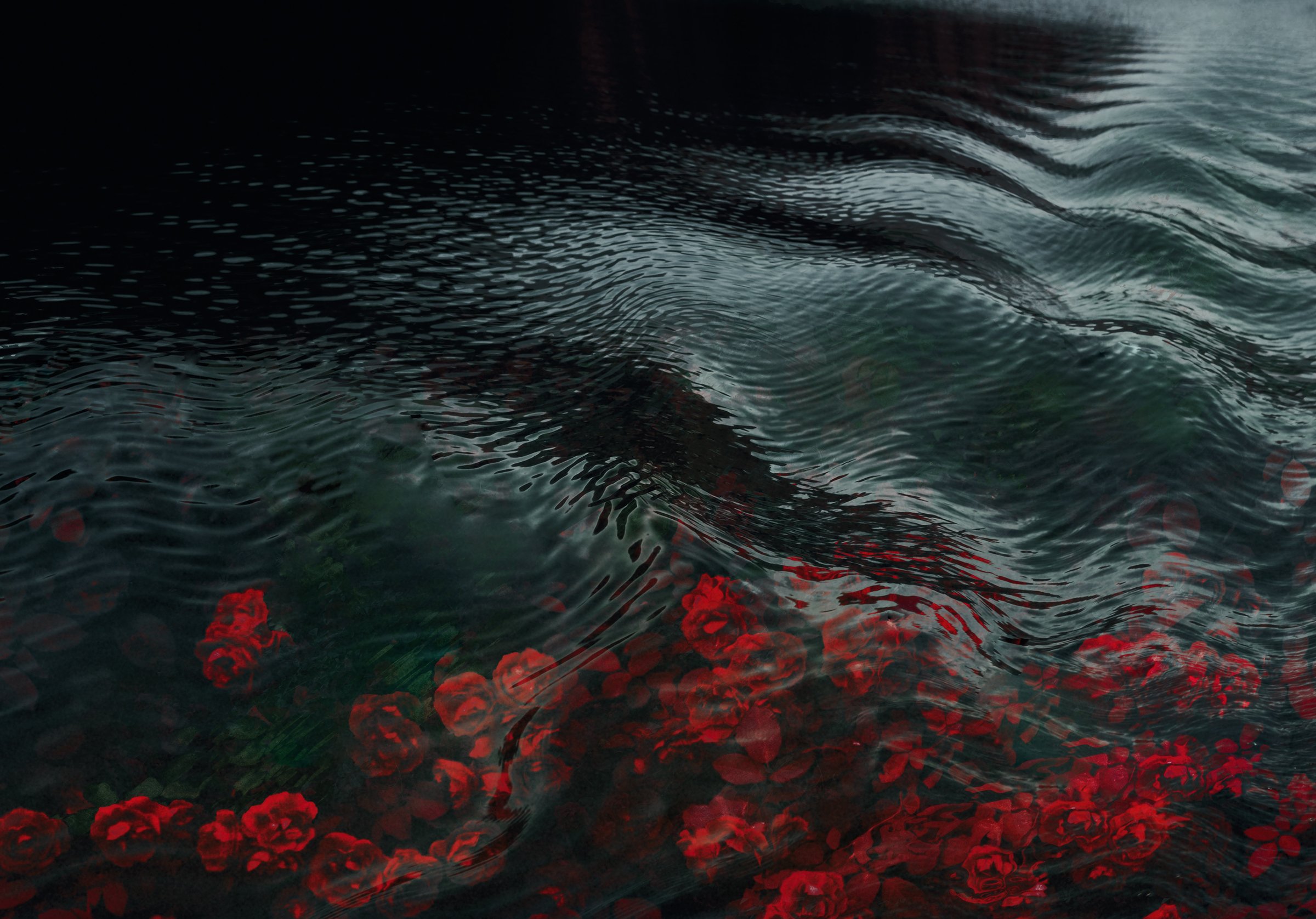 Black Roses / Unreliable Narrator