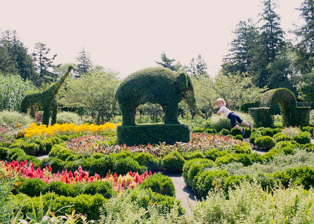 hulin-flying  (23 of 37).jpg