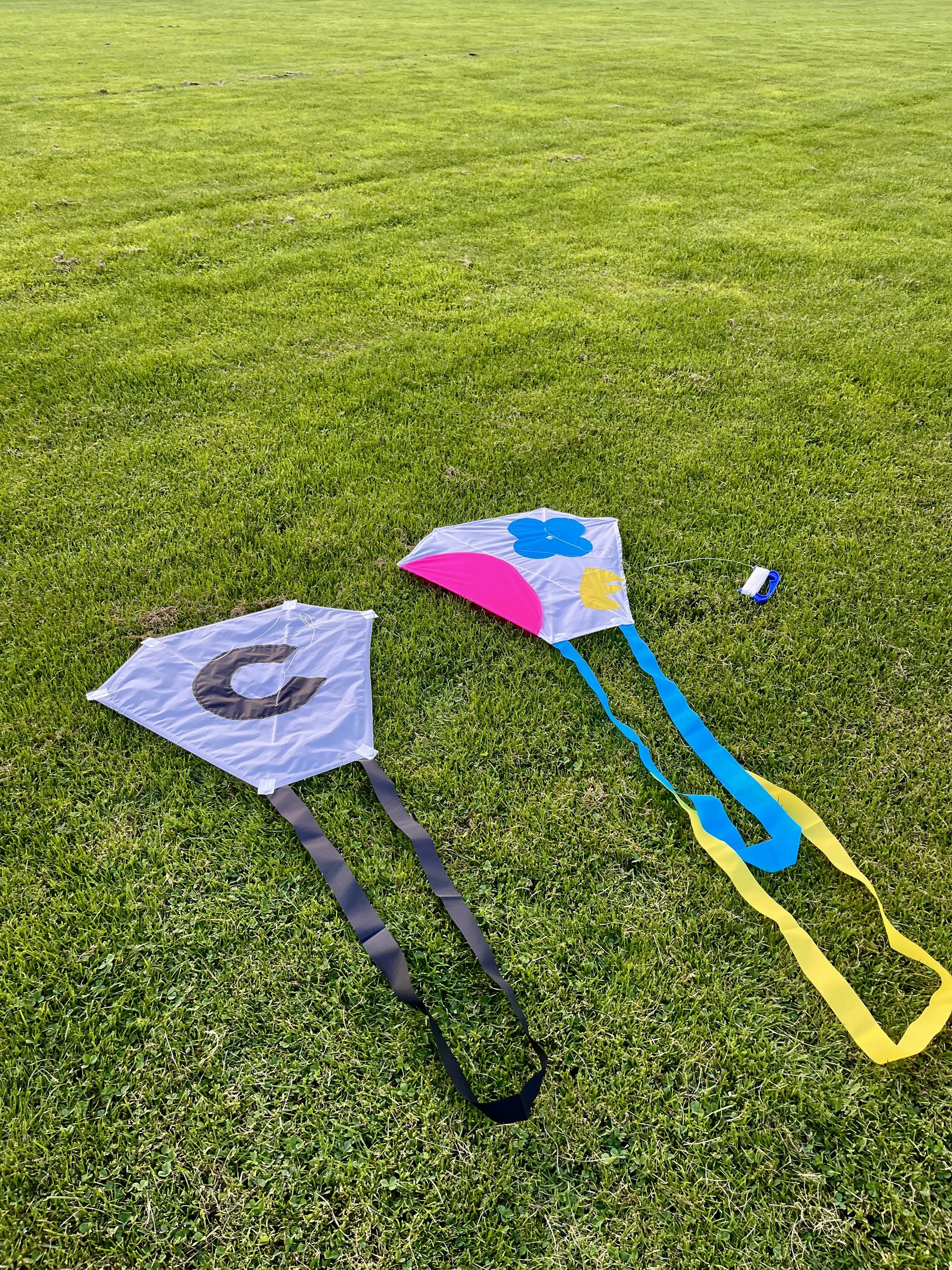 10.Nylon Kites.jpg