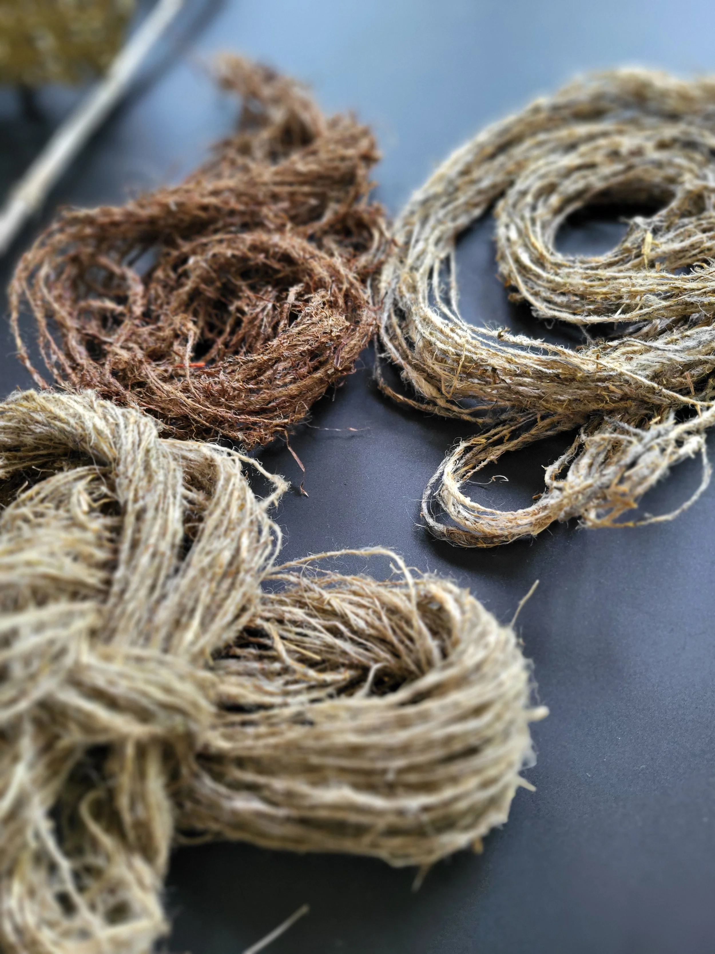 1. Spun Foraged Fibres.jpg
