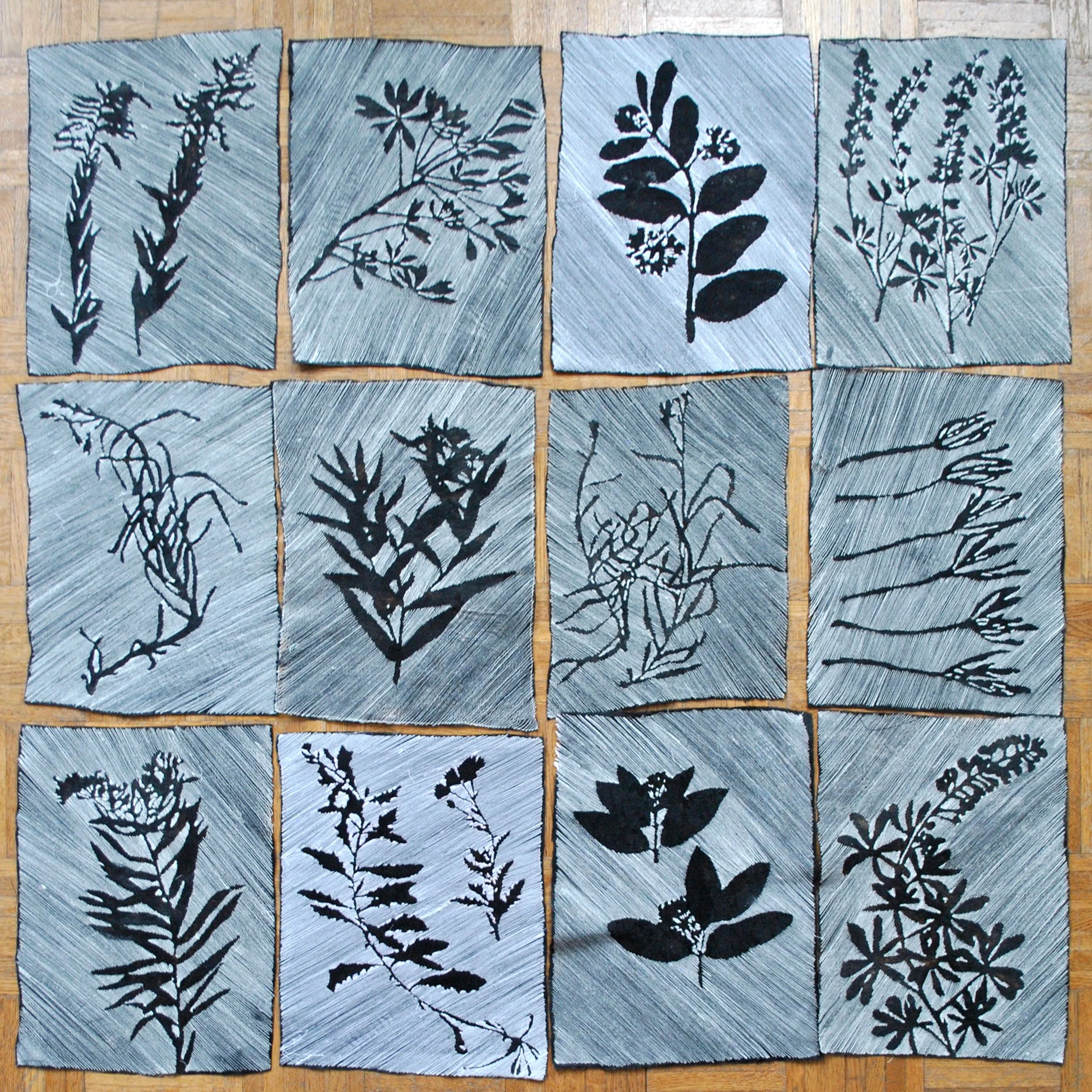 black and white botanicals.jpg