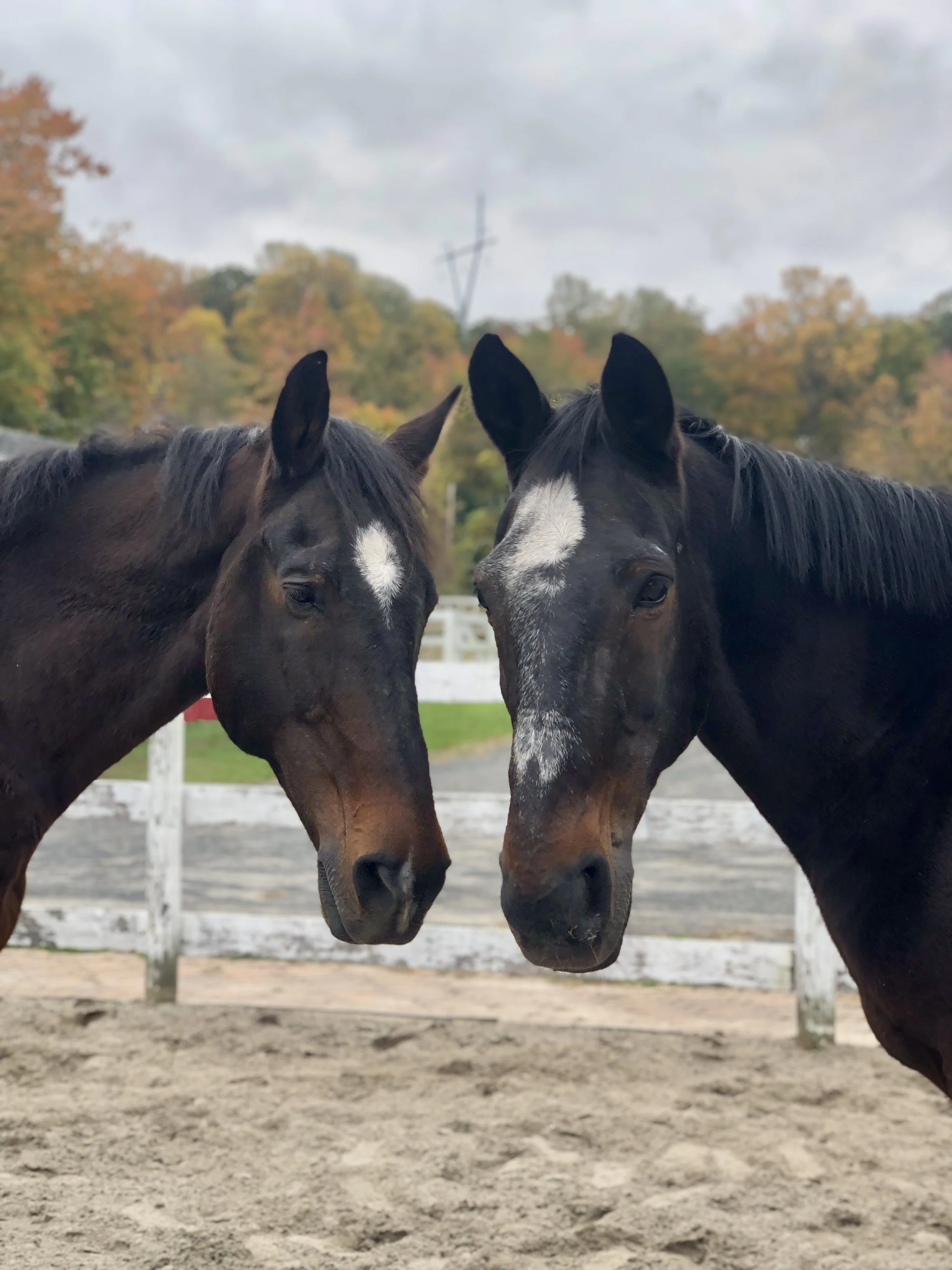 Keystone Equestrian Center