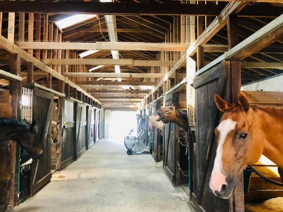 Keystone Equestrian Center