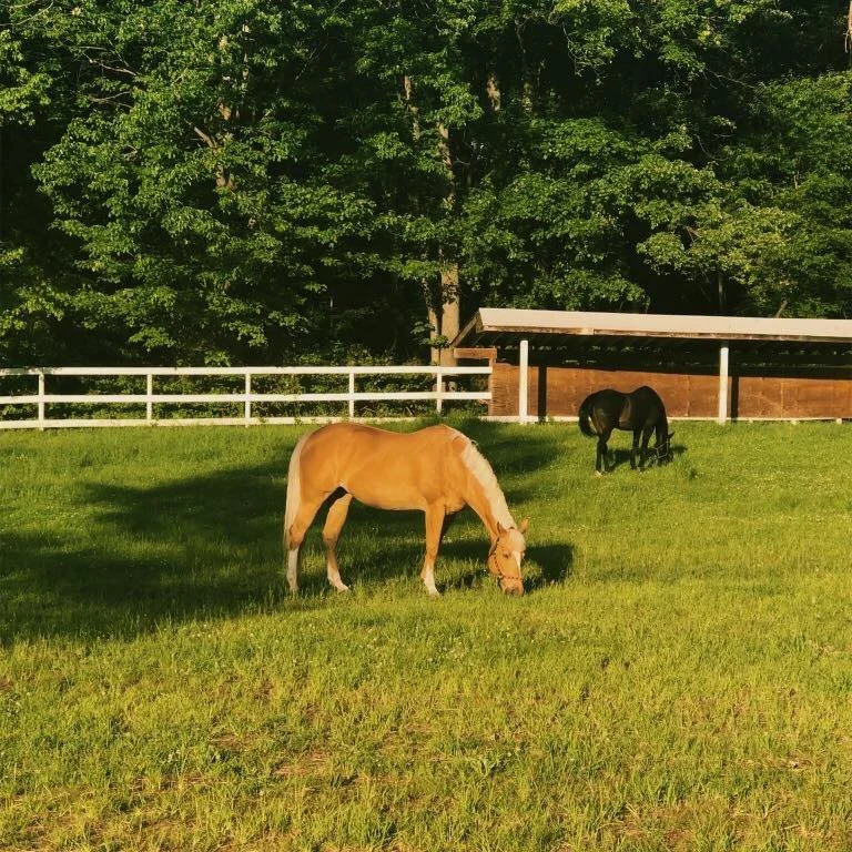Keystone Equestrian Center