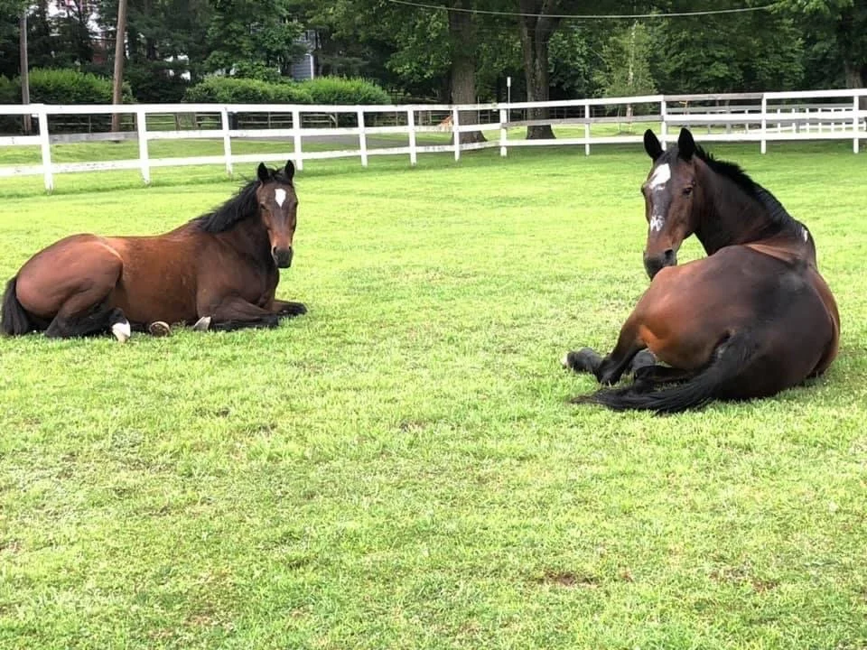 Keystone Equestrian Center
