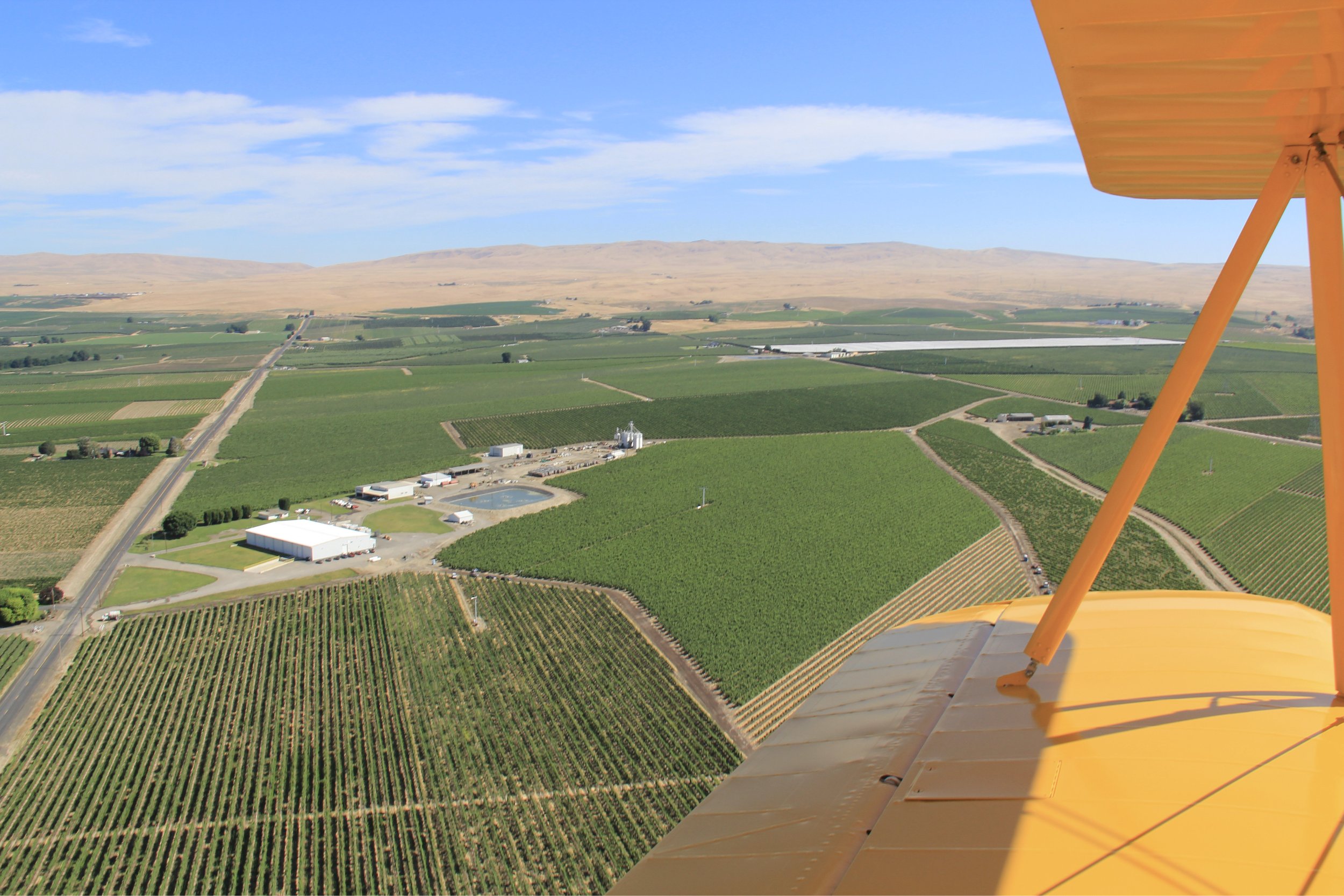 Airfield Vineyard Aerial.JPG
