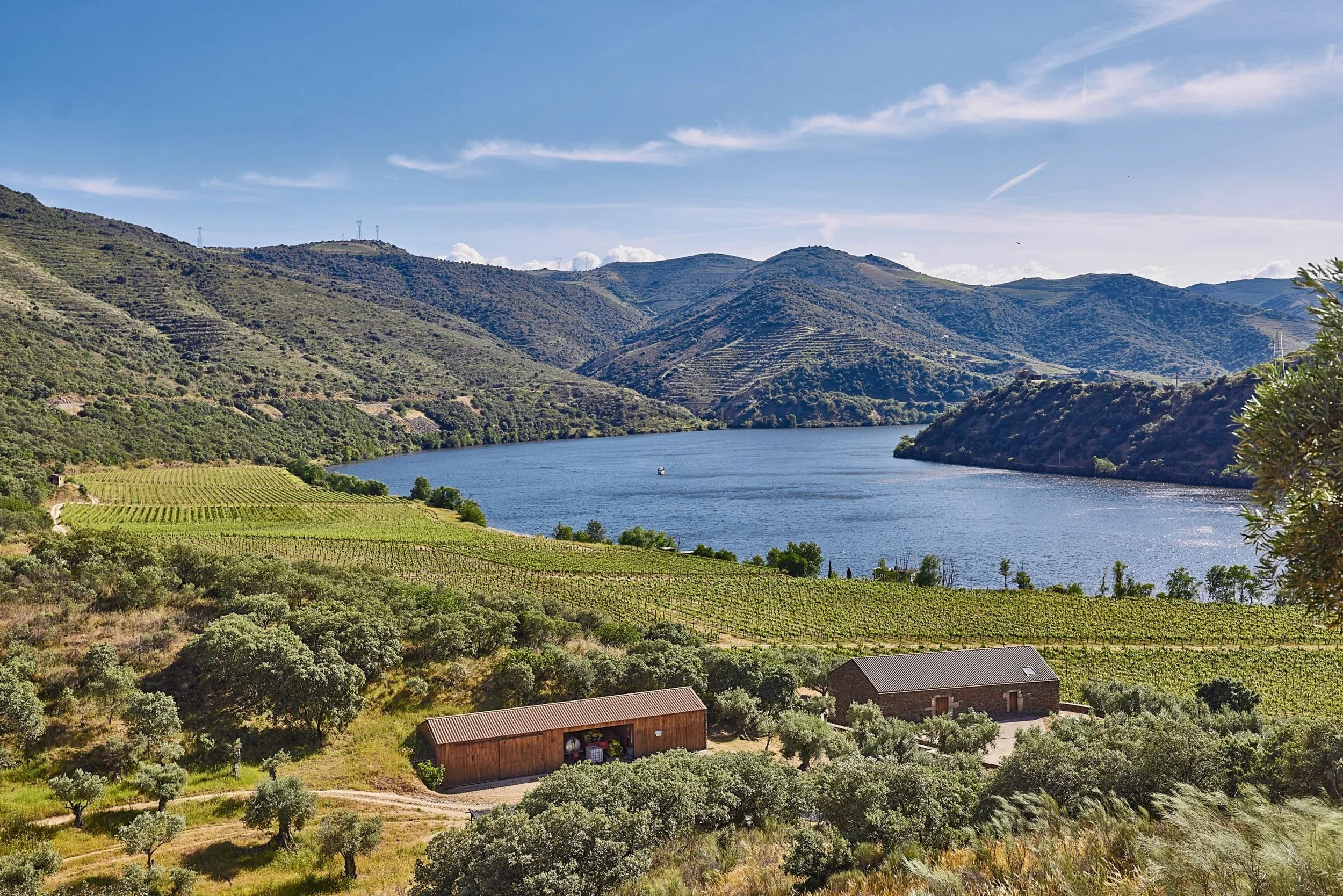 Quinta do Saiao vineyards.jpg