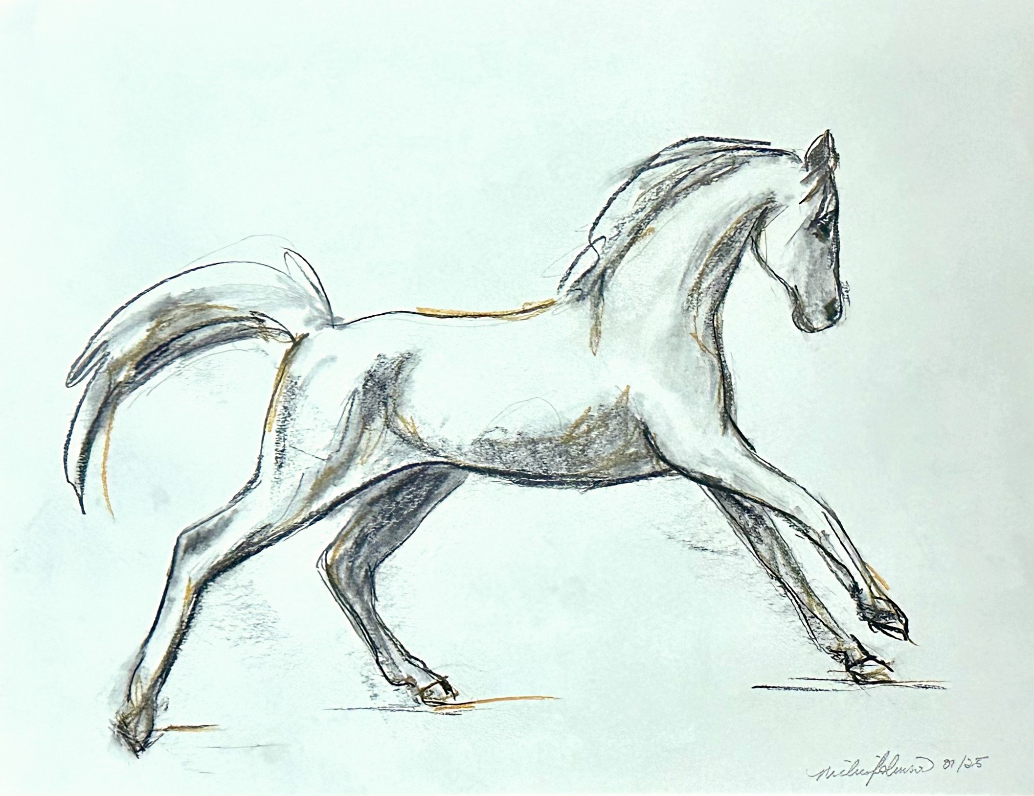 charcoal horse 2.jpg