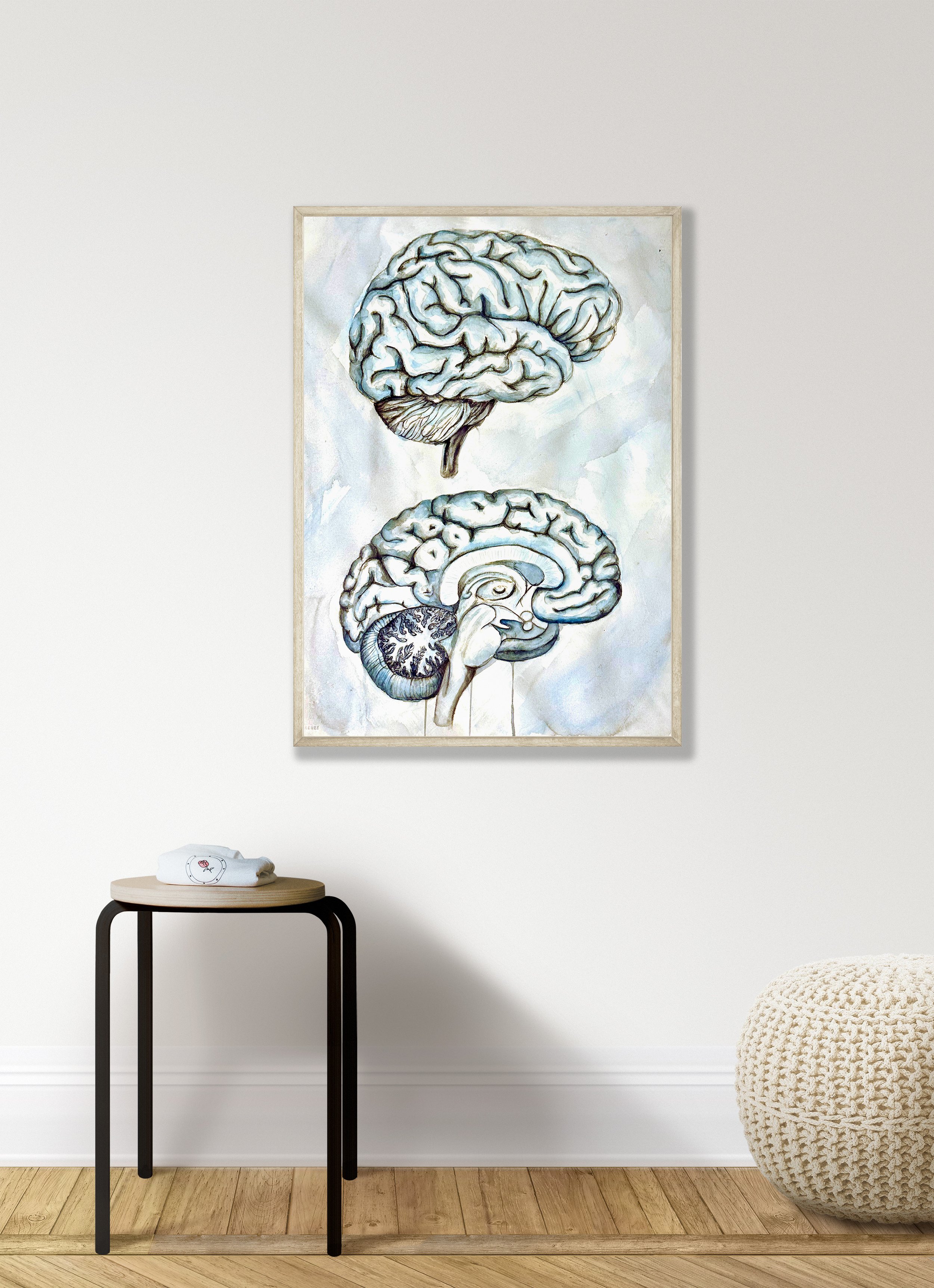 Sagittal Brain Watercolor Mockup 1.jpg
