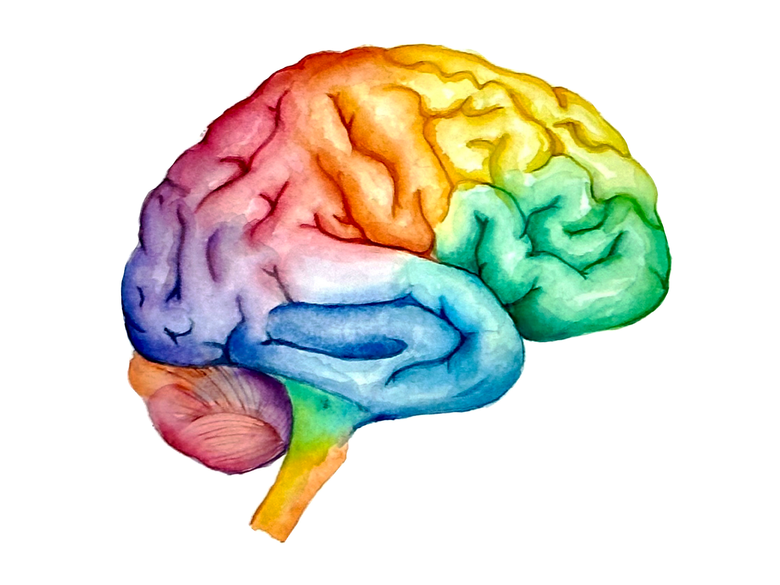 Colorful Thoughts 4to3 ratio.png