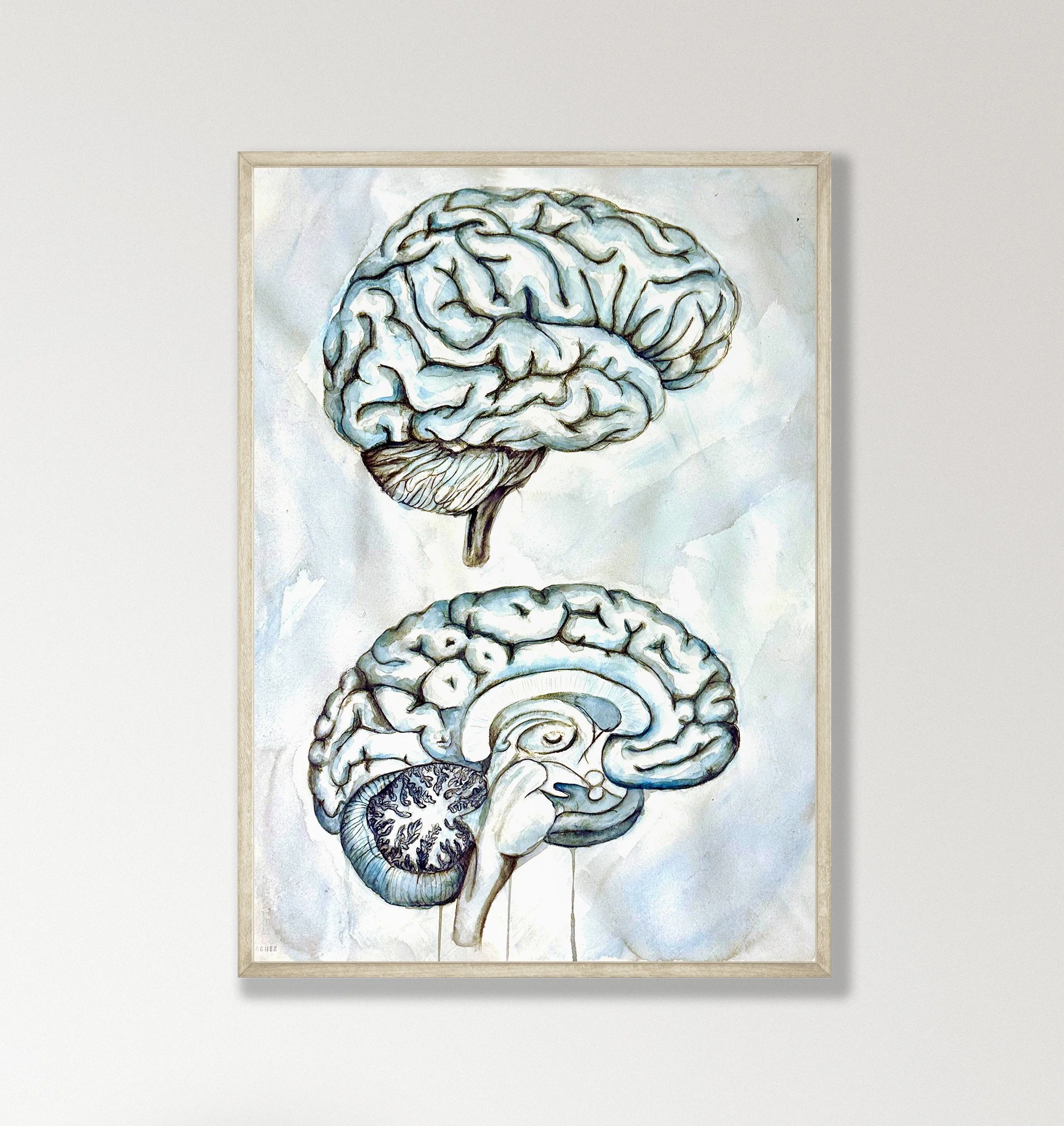 Sagittal Brain Watercolor Mockup 2.jpg