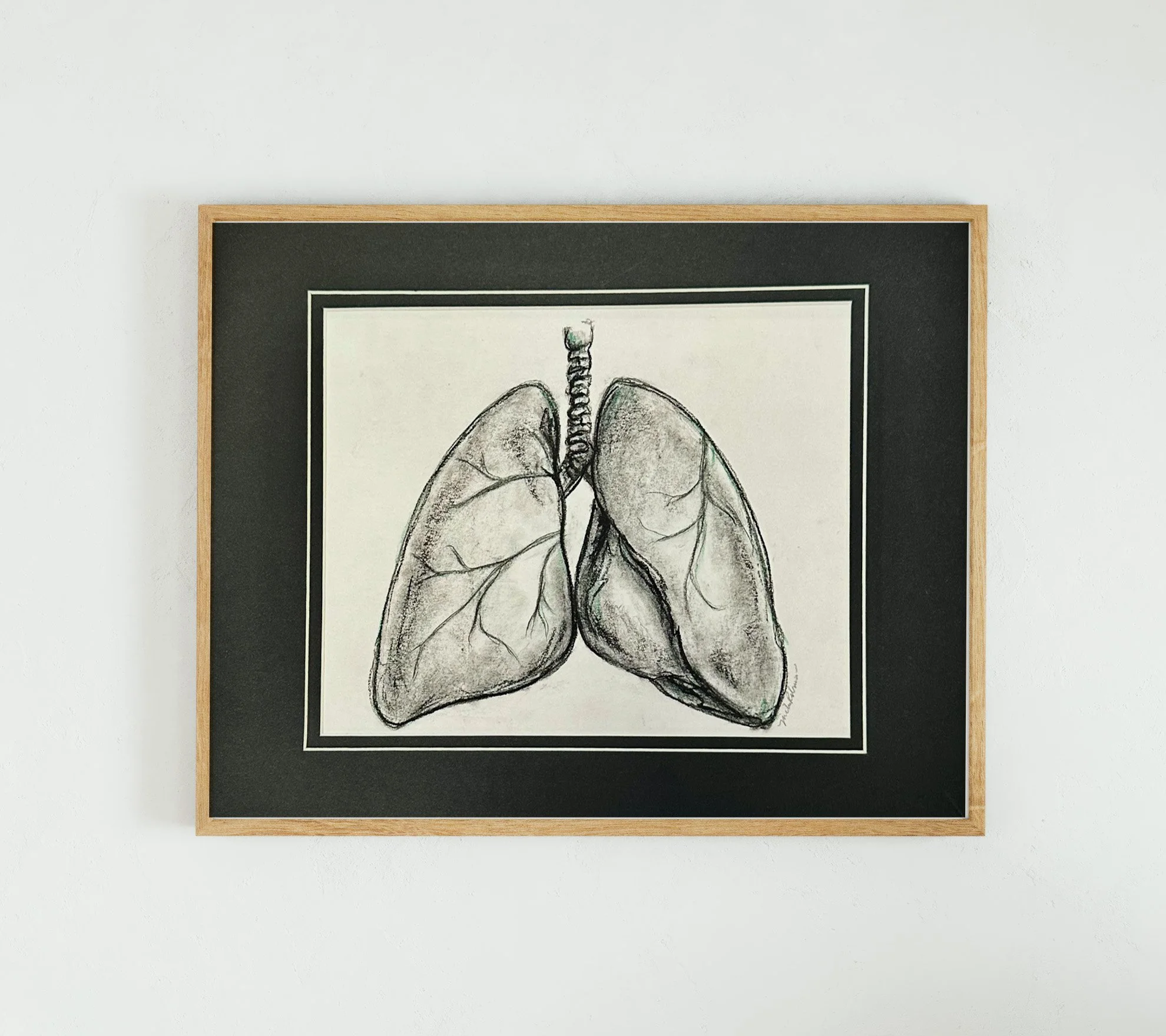 Charcoal Lungs Study