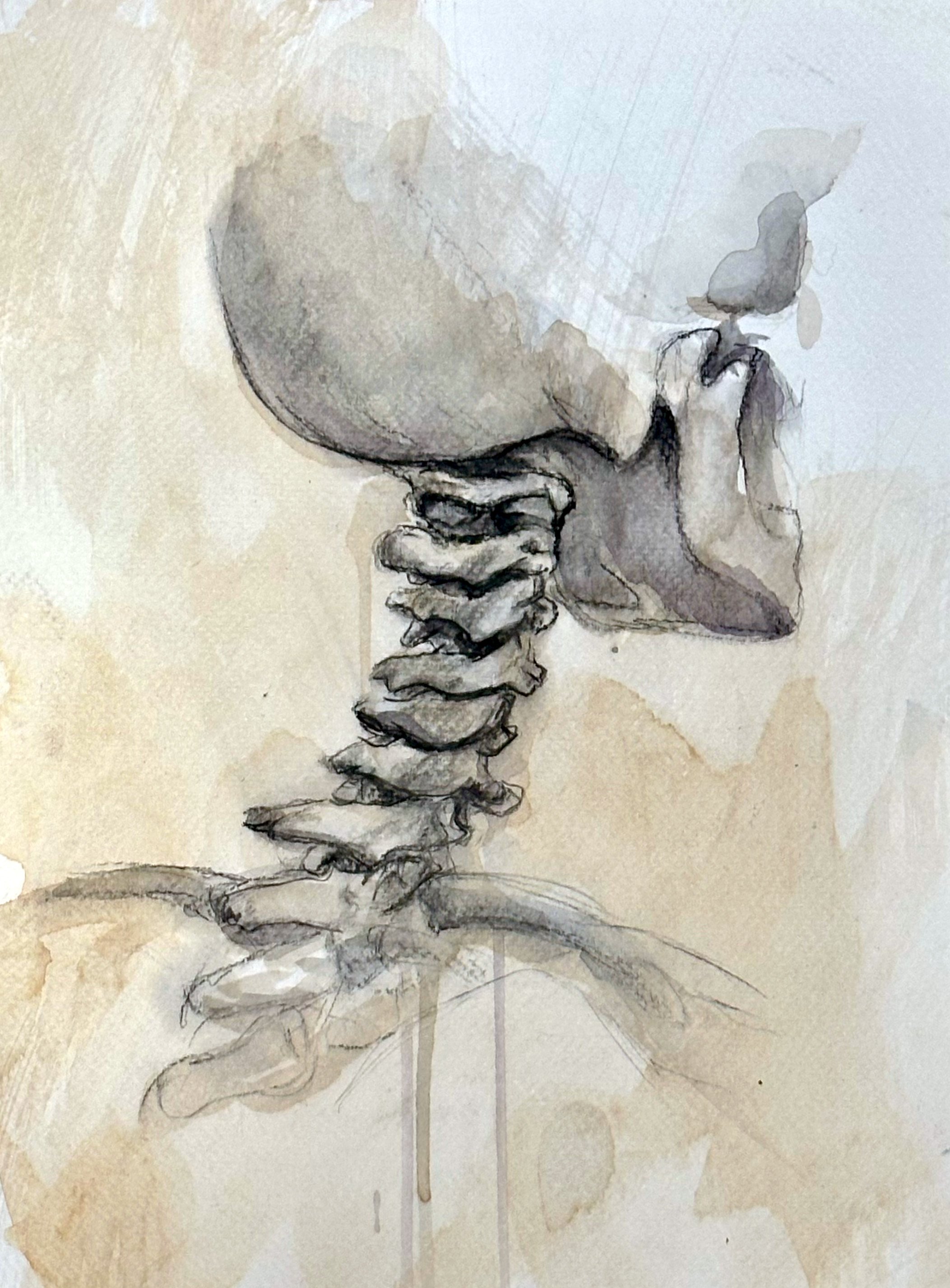 Cervica - Fine Art Print