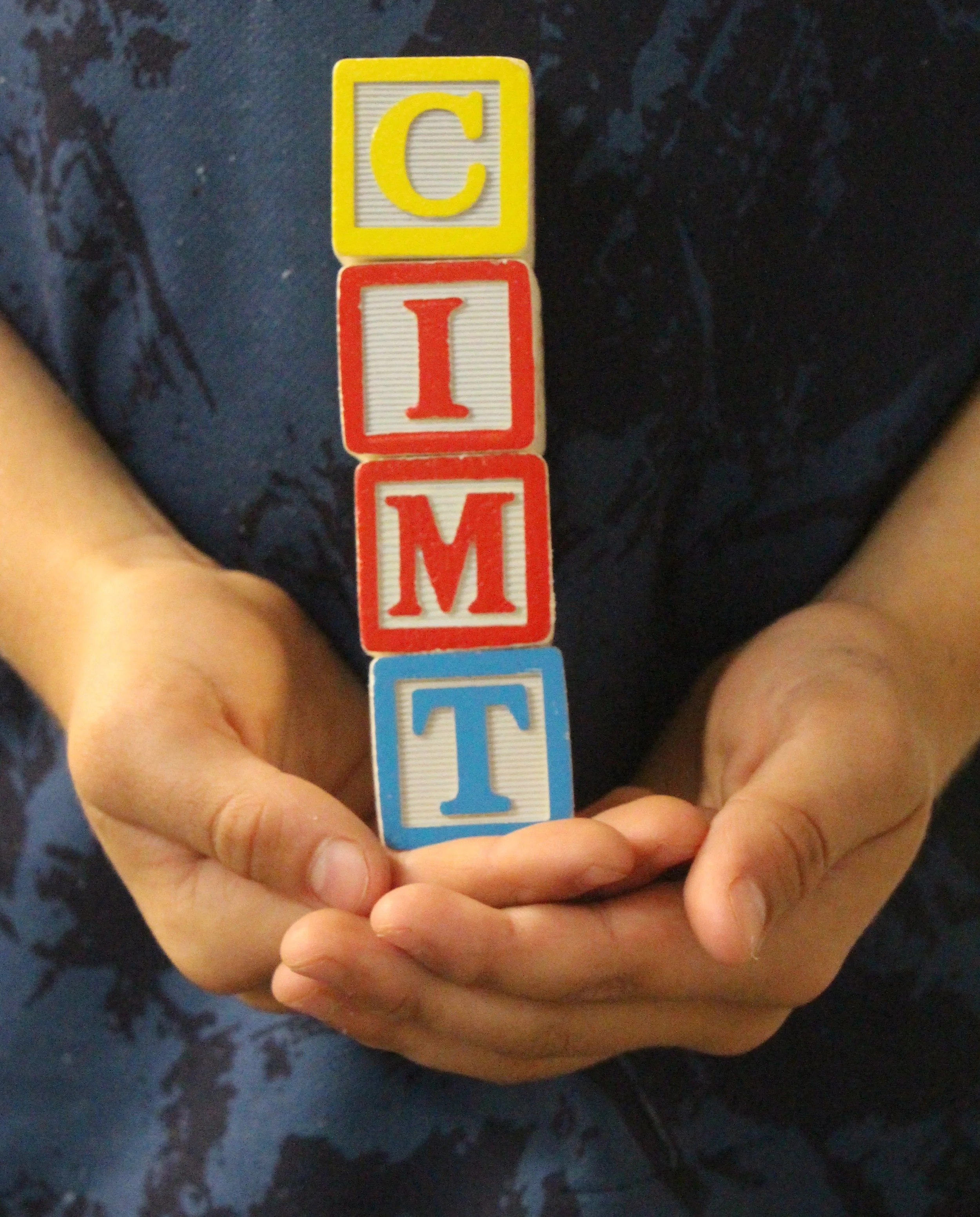 CIMT option 1.JPG
